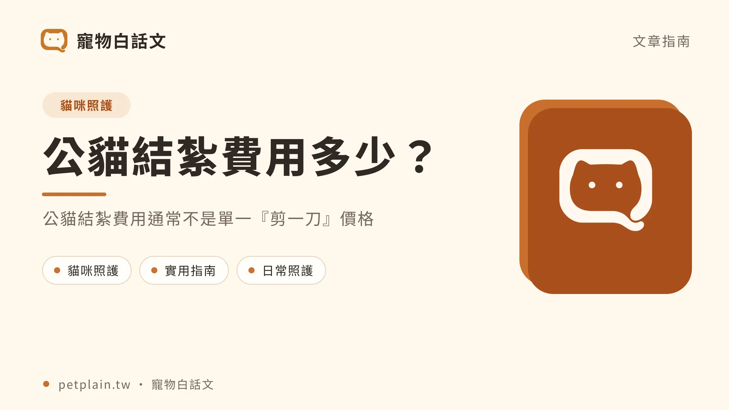 公貓結紮費用多少?檢查、麻醉與術後項目:首圖