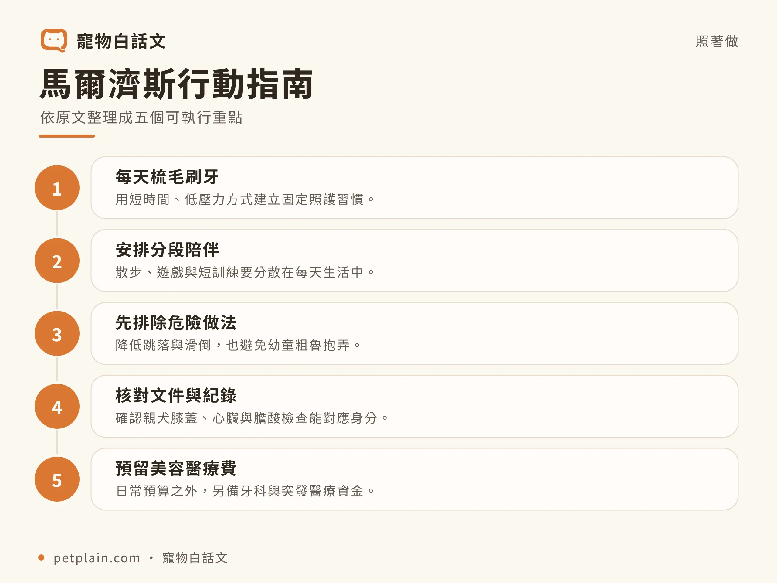 馬爾濟斯行動指南資訊圖，對應〈馬爾濟斯好養嗎？個性、壽命、常見疾病與飼養費用〉