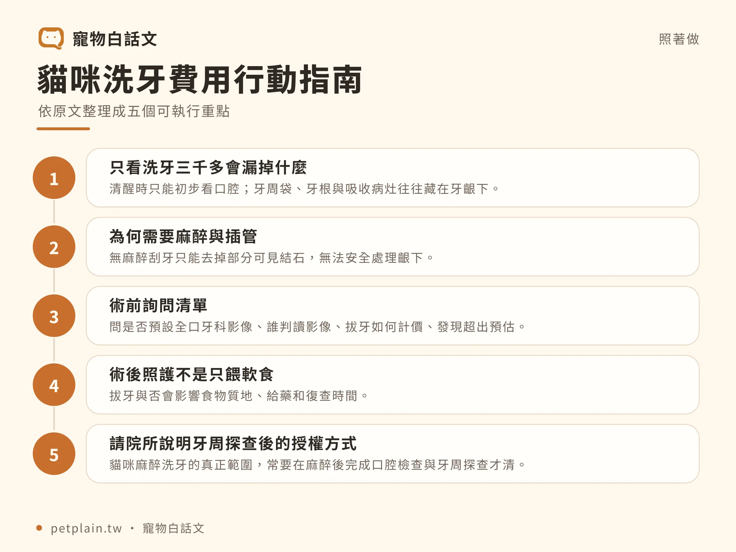 貓咪洗牙費用多少？麻醉、檢查與拔牙項目：實際步驟