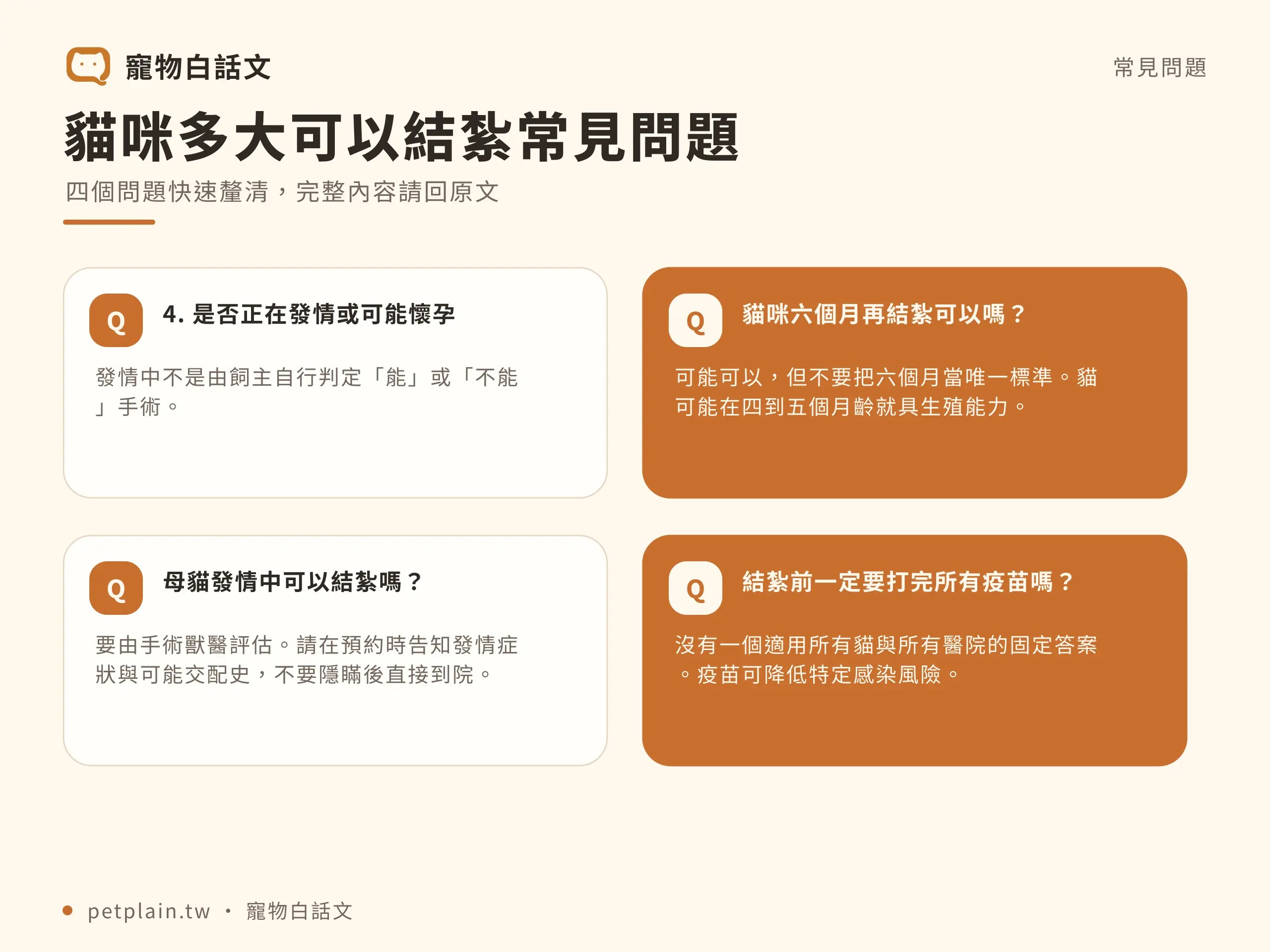 貓咪多大可以結紮？公母時機與術前準備：常見問題