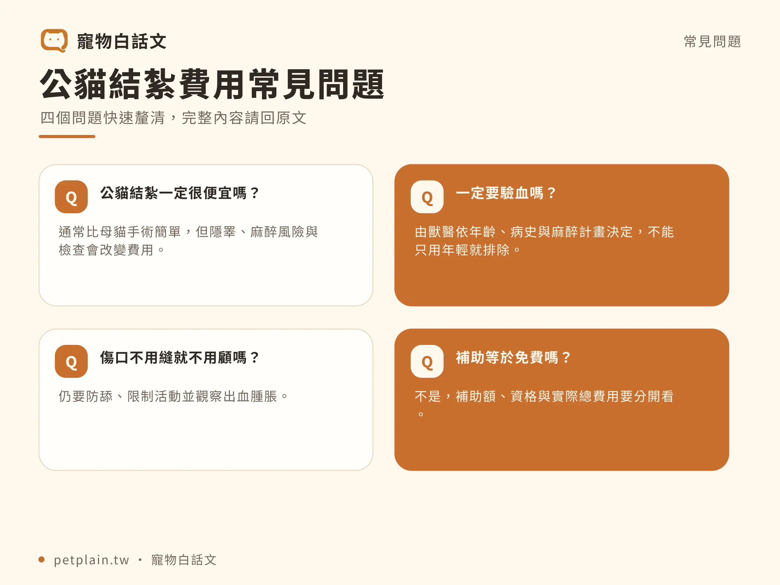 公貓結紮費用多少？檢查、麻醉與術後項目：常見問題