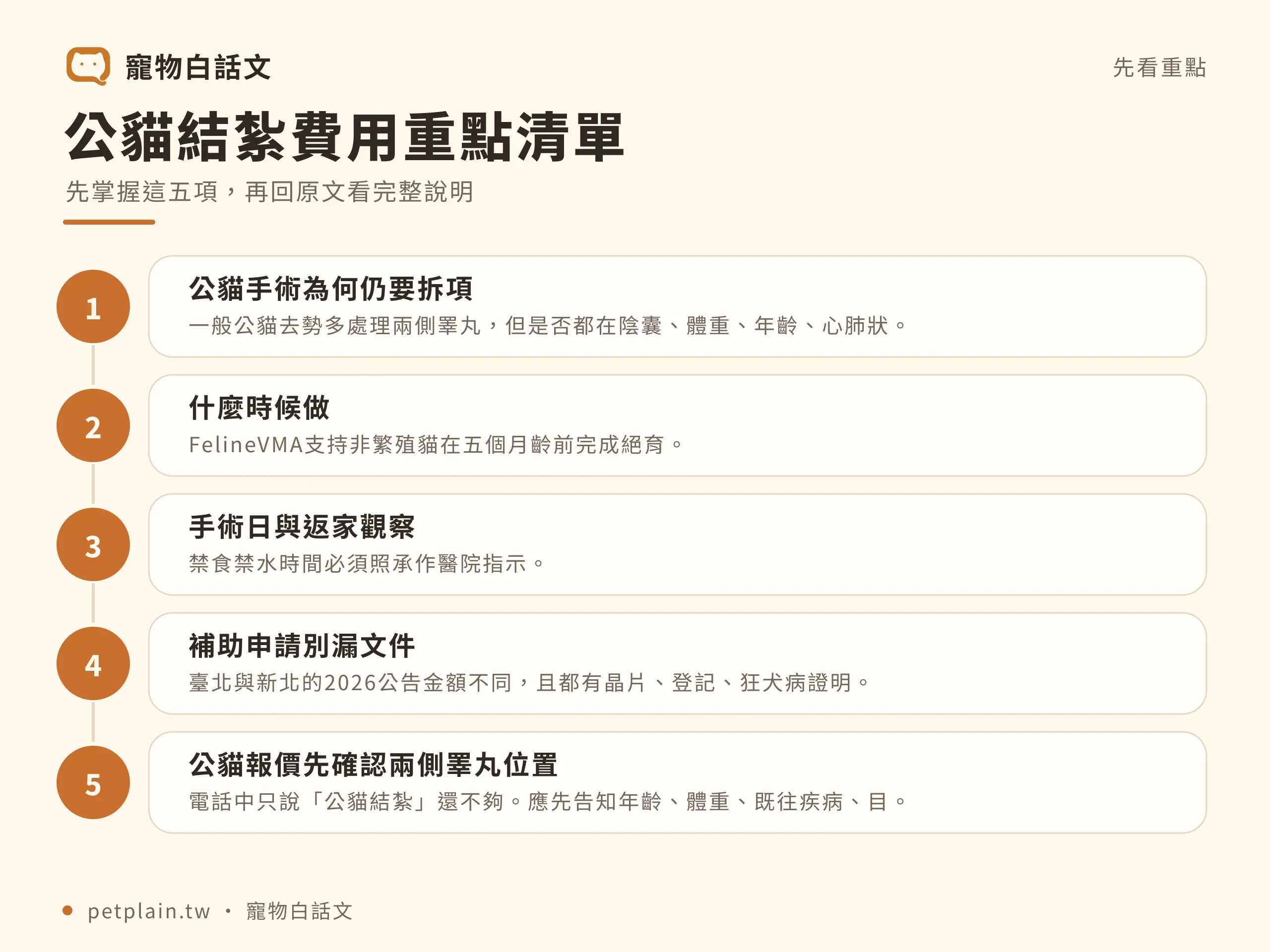 公貓結紮費用多少？檢查、麻醉與術後項目：重點整理