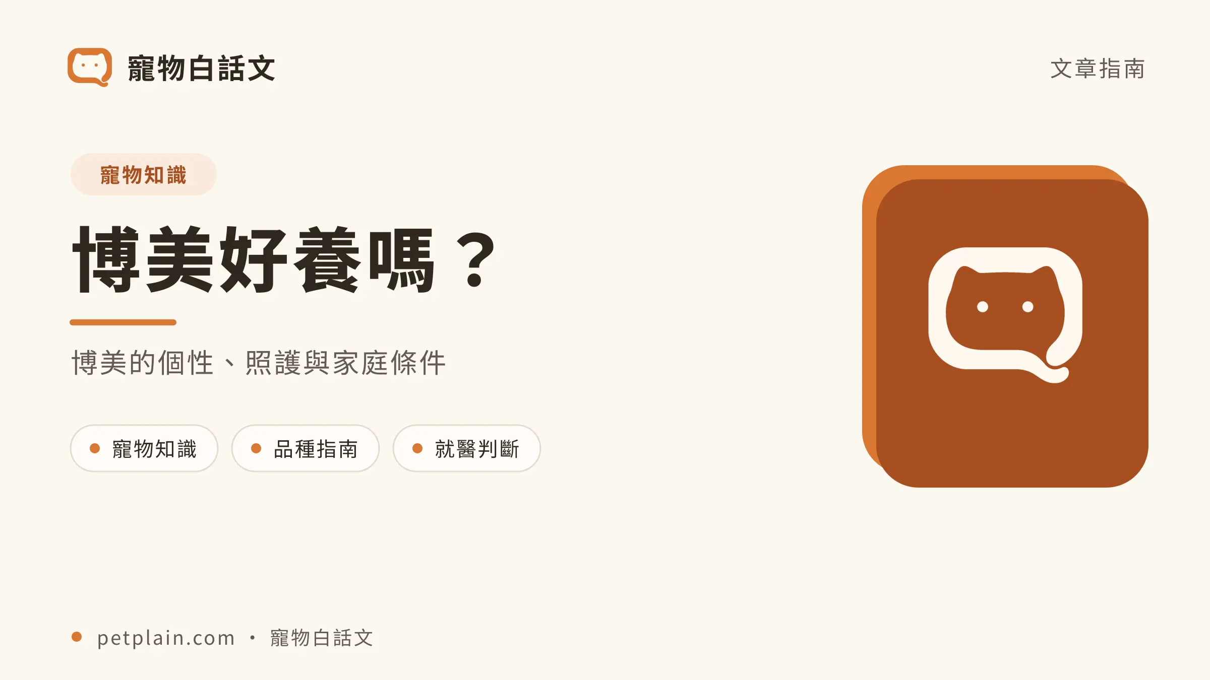 博美文章封面，對應〈博美好養嗎？個性、壽命、常見疾病與飼養費用〉