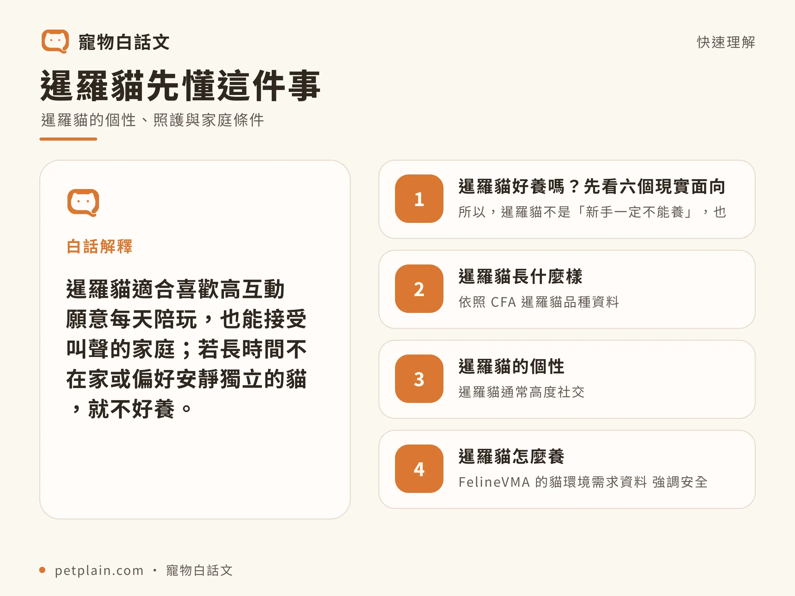 暹羅貓核心概念資訊圖,對應〈暹羅貓好養嗎?個性、壽命、常見疾病與飼養費用〉