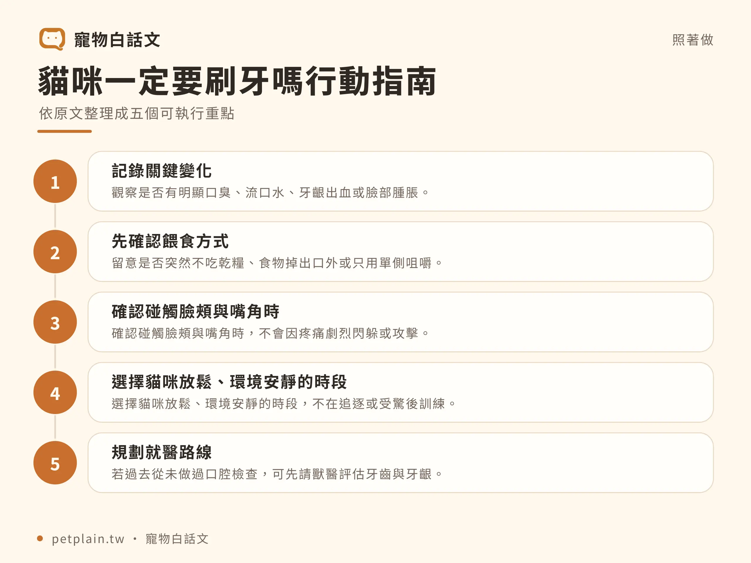 貓咪一定要刷牙嗎？從頻率到工具一次看懂：實際步驟
