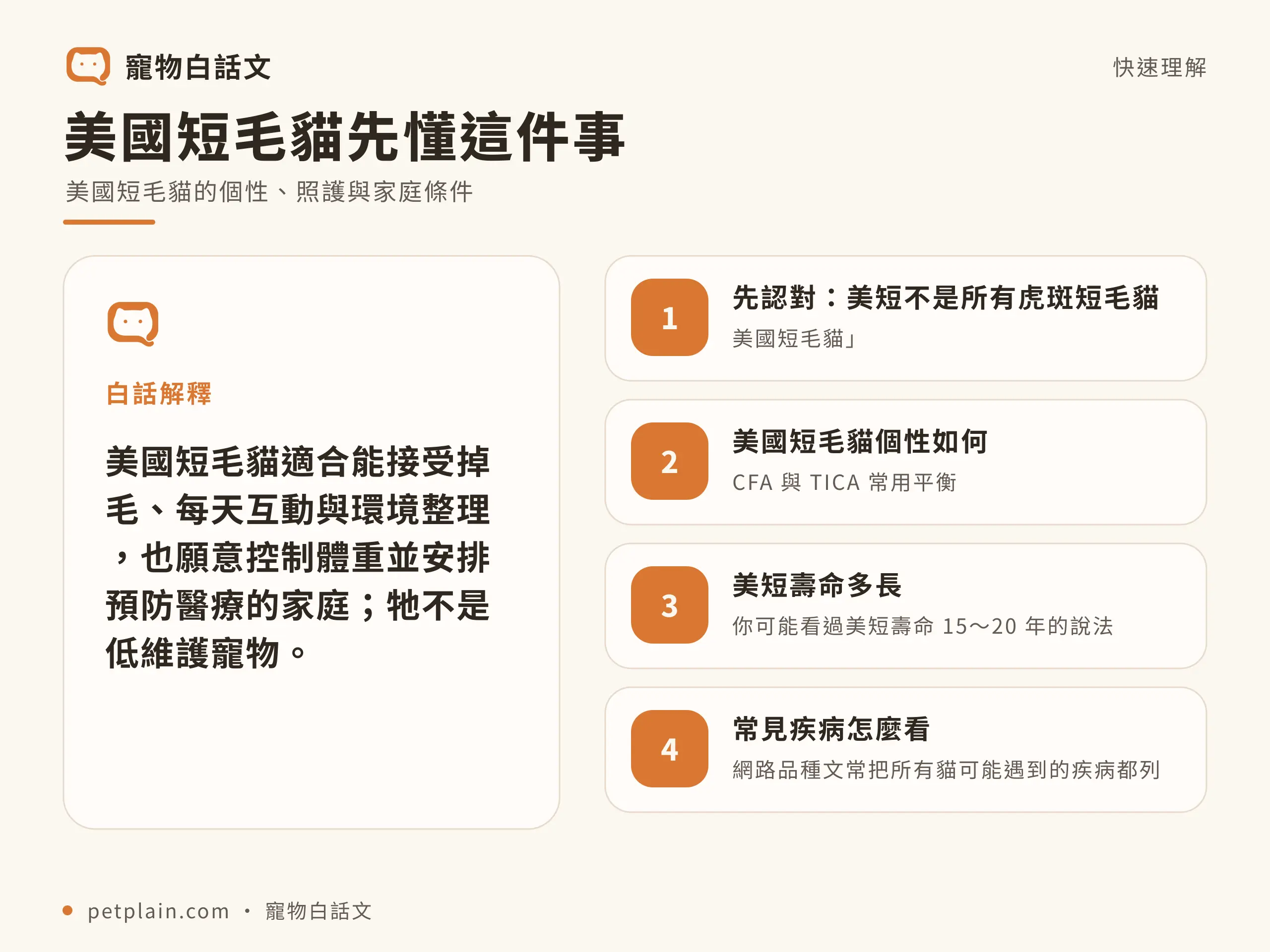 美國短毛貓核心概念資訊圖，對應〈美國短毛貓好養嗎？個性、壽命、常見疾病與飼養費用〉