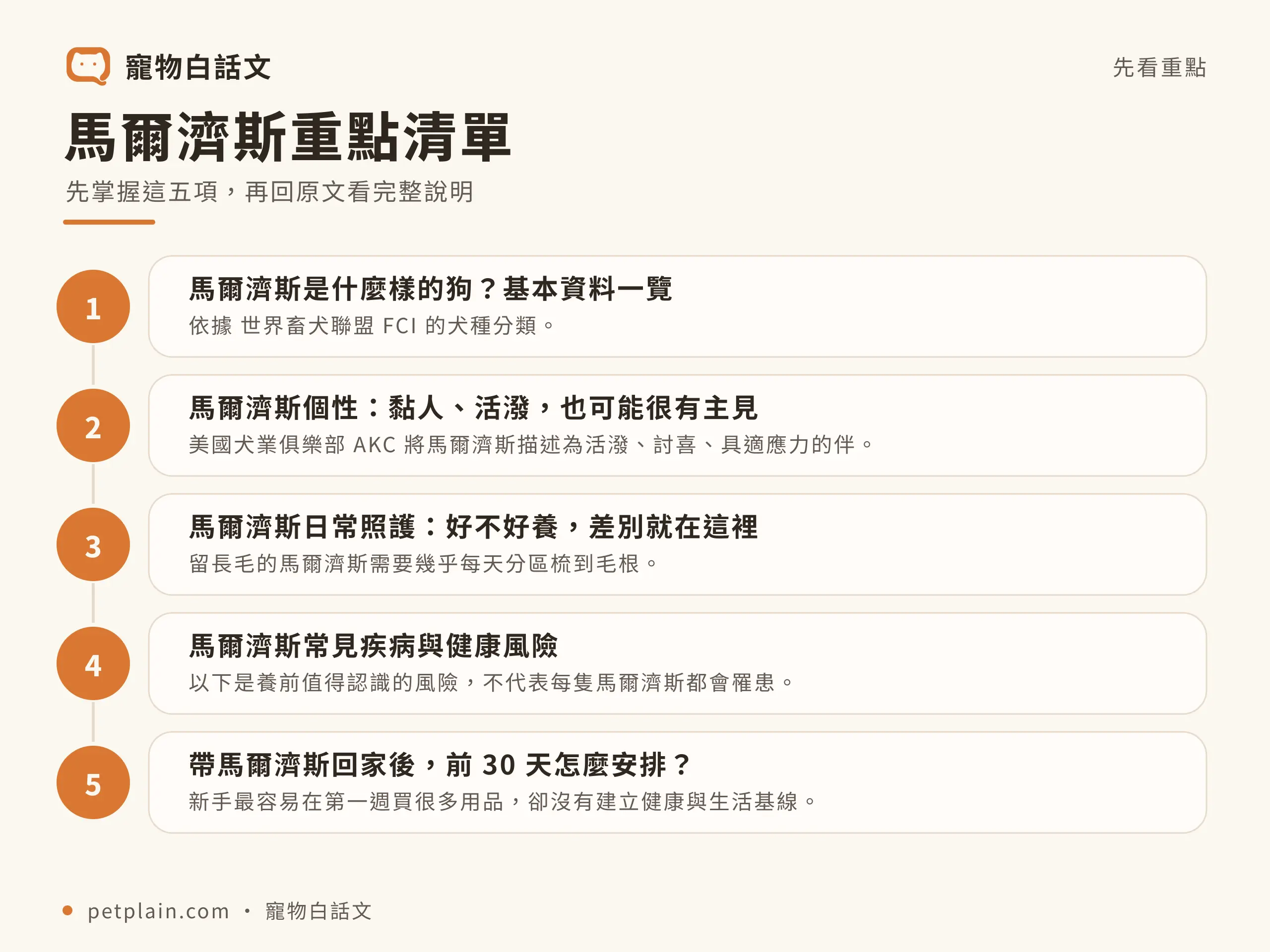 馬爾濟斯重點清單資訊圖，對應〈馬爾濟斯好養嗎？個性、壽命、常見疾病與飼養費用〉