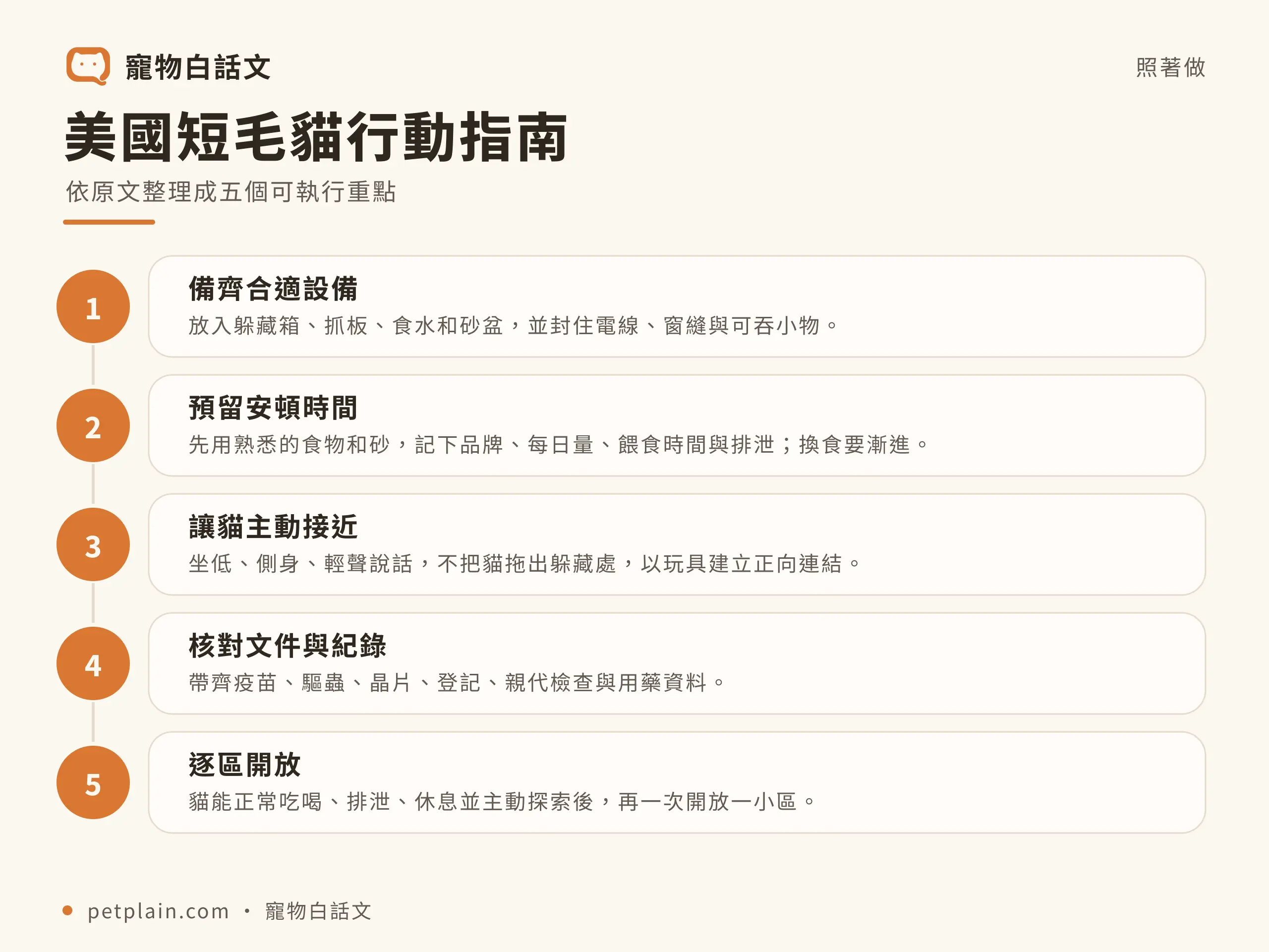 美國短毛貓行動指南資訊圖，對應〈美國短毛貓好養嗎？個性、壽命、常見疾病與飼養費用〉