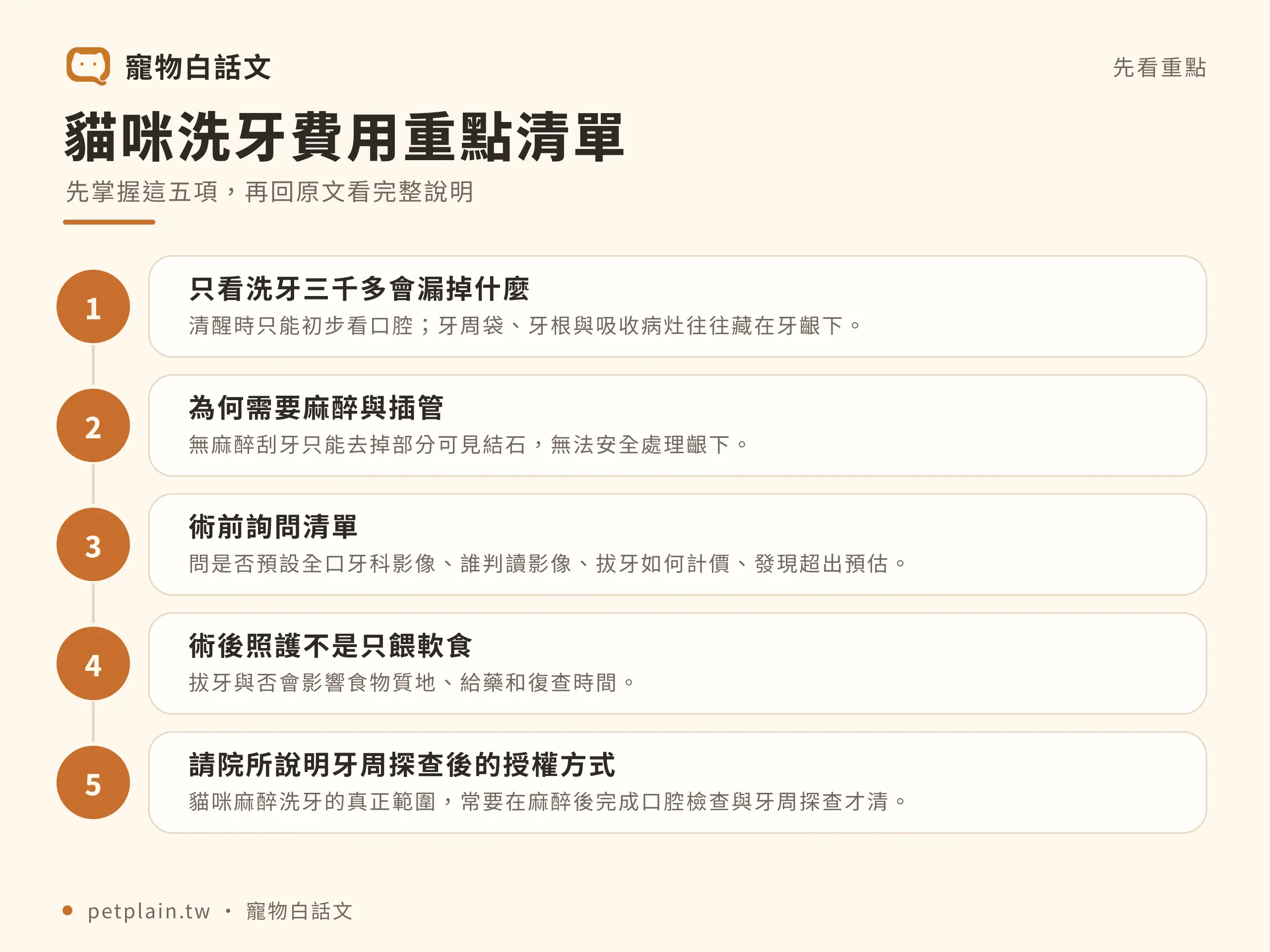 貓咪洗牙費用多少？麻醉、檢查與拔牙項目：重點整理
