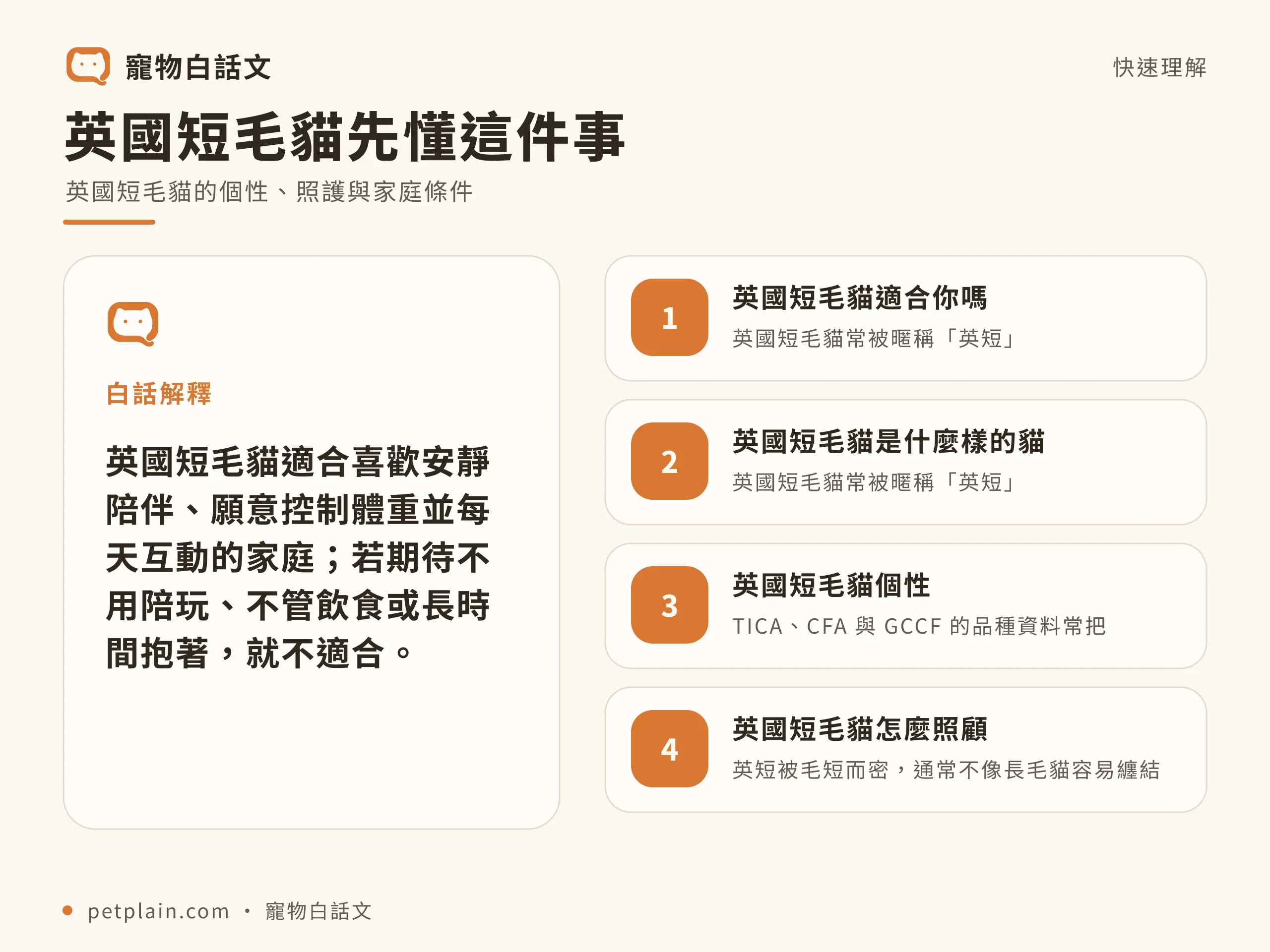 英國短毛貓核心概念資訊圖，對應〈英國短毛貓好養嗎？個性、壽命、常見疾病與飼養費用〉