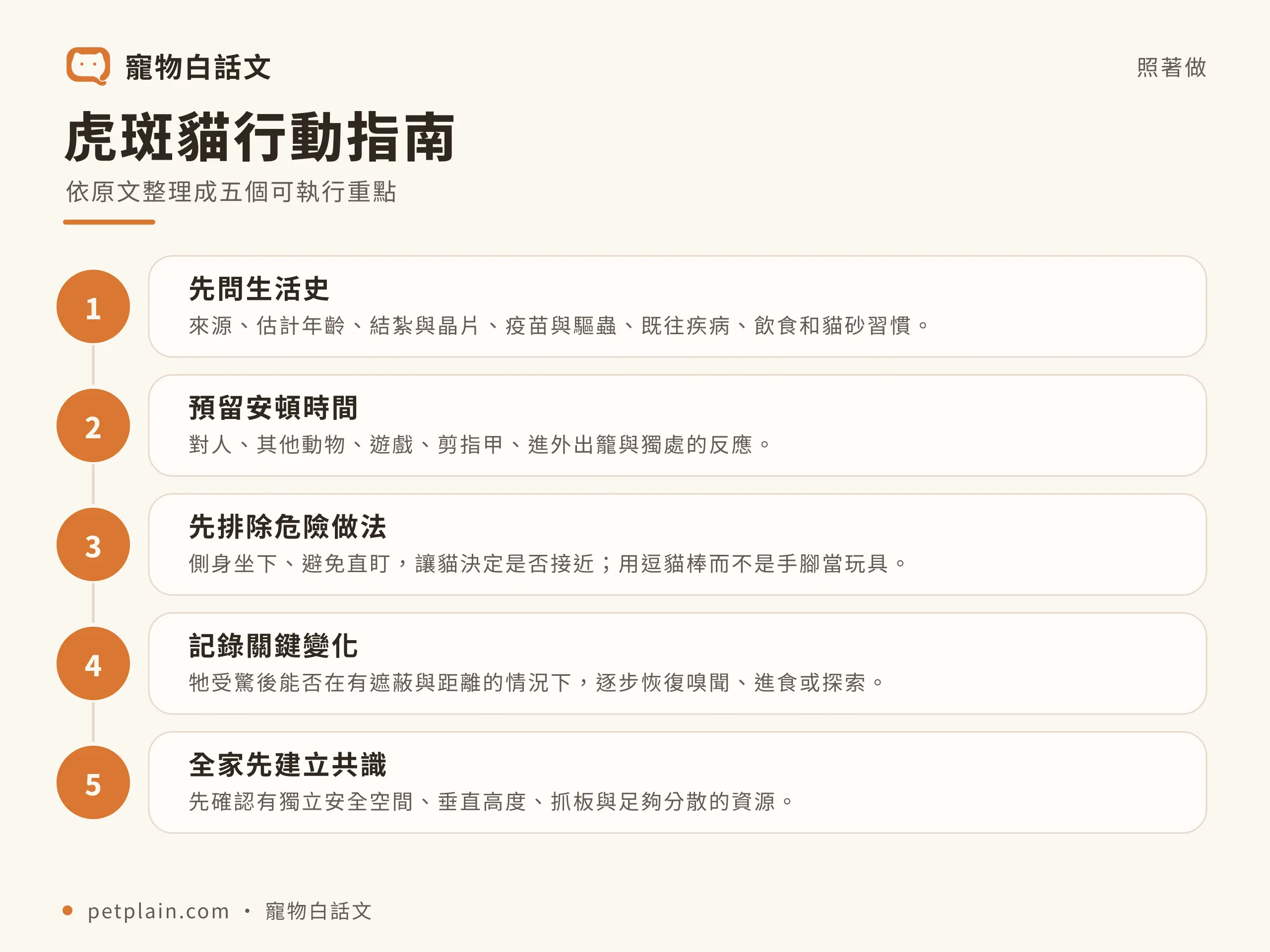 虎斑貓行動指南資訊圖,對應〈虎斑貓是品種嗎?4 種花紋、個性迷思與照護重點〉