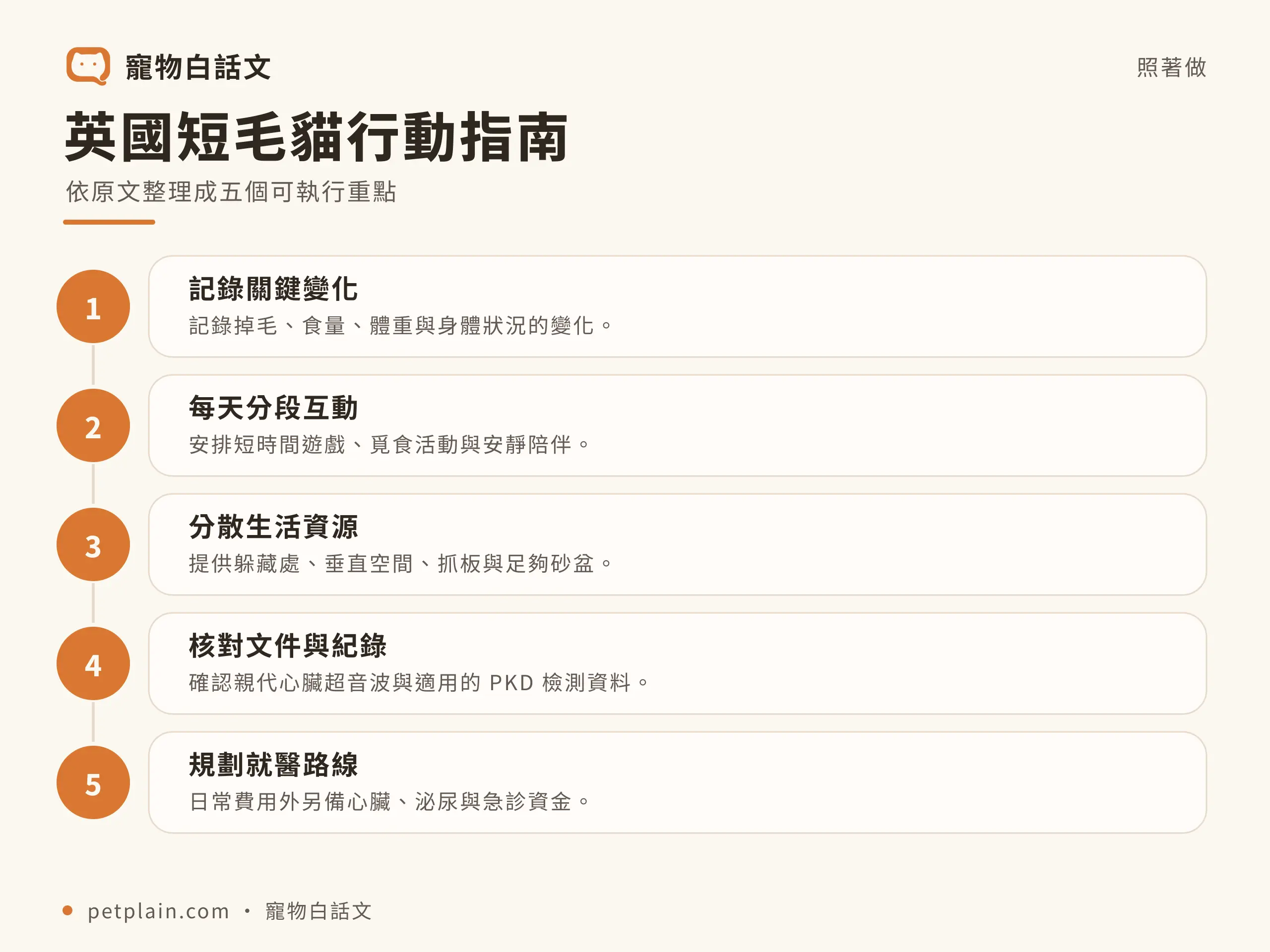 英國短毛貓行動指南資訊圖，對應〈英國短毛貓好養嗎？個性、壽命、常見疾病與飼養費用〉