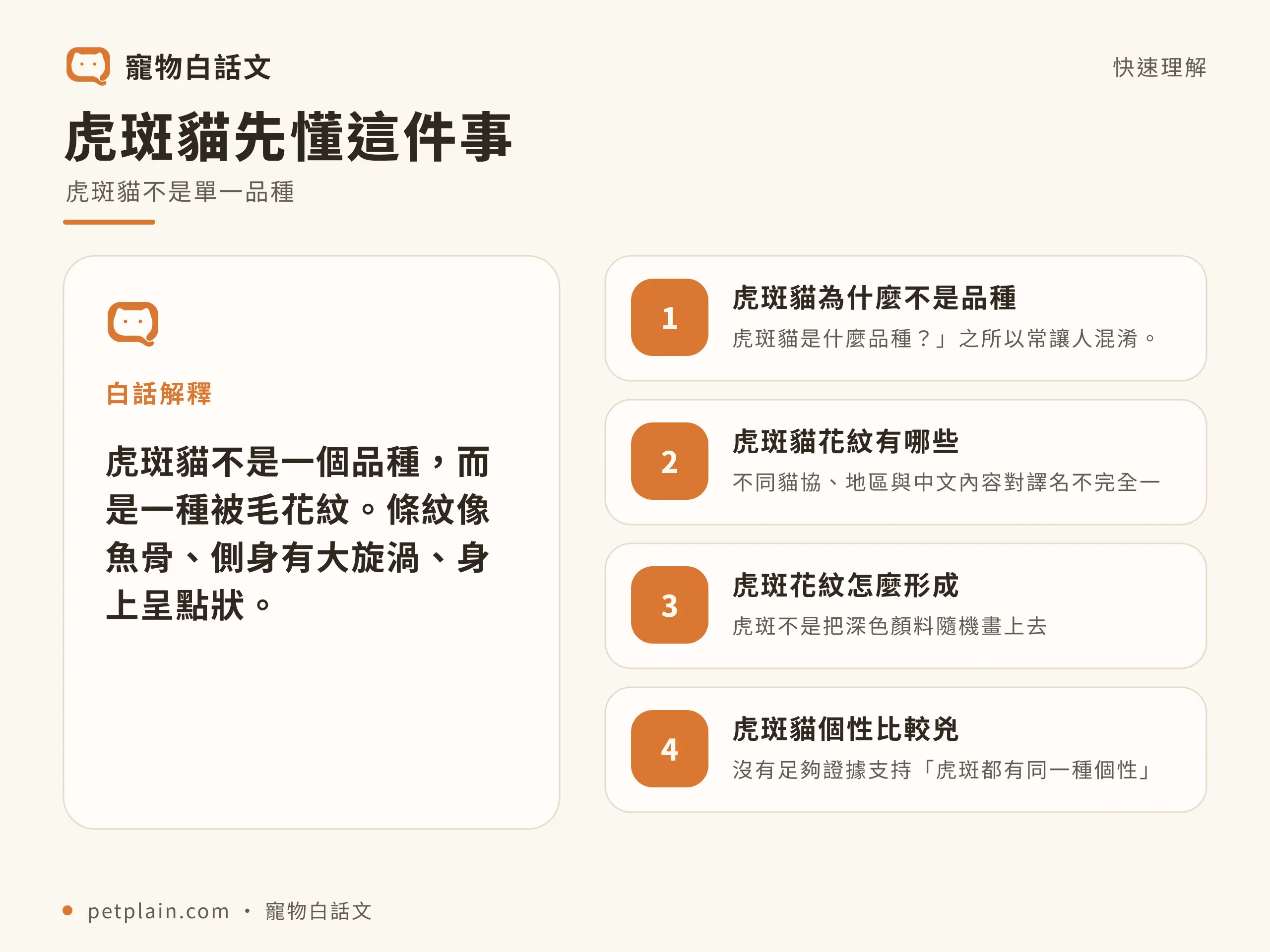 虎斑貓核心概念資訊圖,對應〈虎斑貓是品種嗎?4 種花紋、個性迷思與照護重點〉