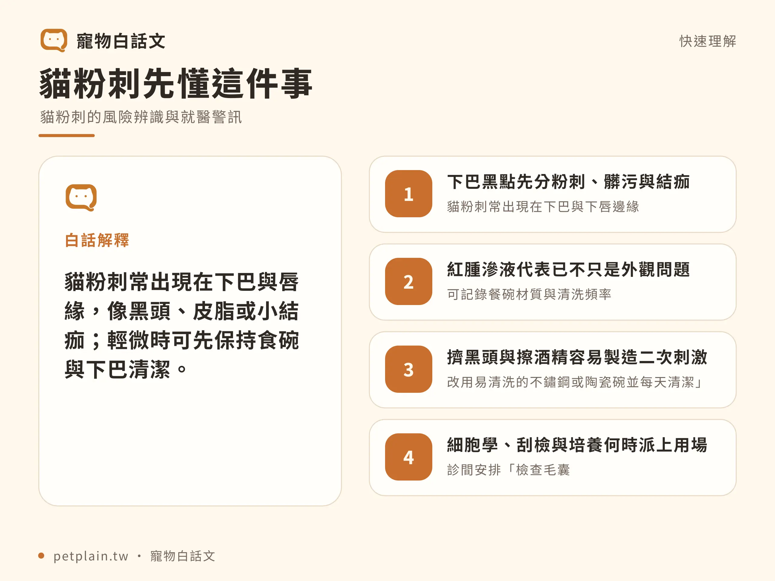 貓粉刺怎麼辦？黑下巴原因與清潔方式：快速判斷