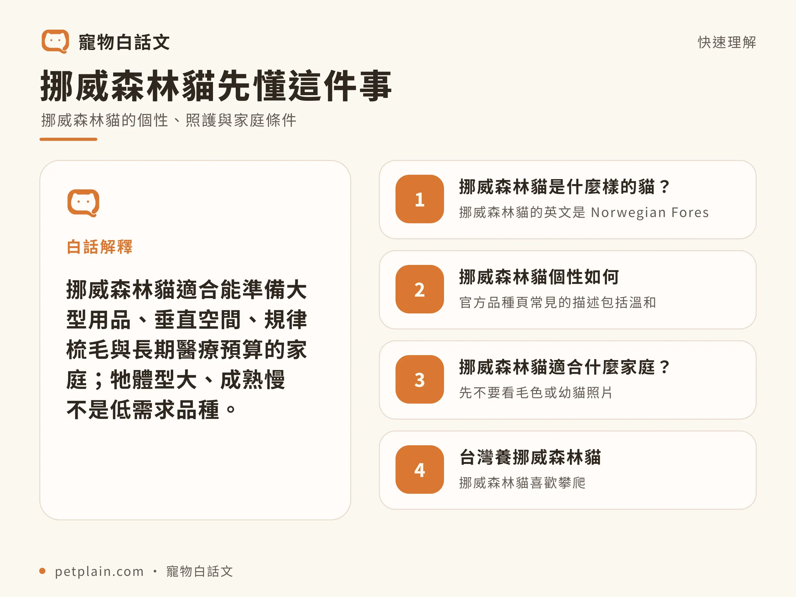 挪威森林貓核心概念資訊圖,對應〈挪威森林貓好養嗎?個性、壽命、常見疾病與飼養費用〉