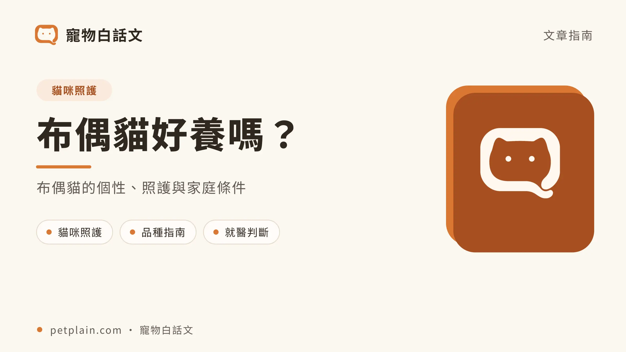 布偶貓文章封面,對應〈布偶貓好養嗎?個性、壽命、常見疾病與飼養費用〉