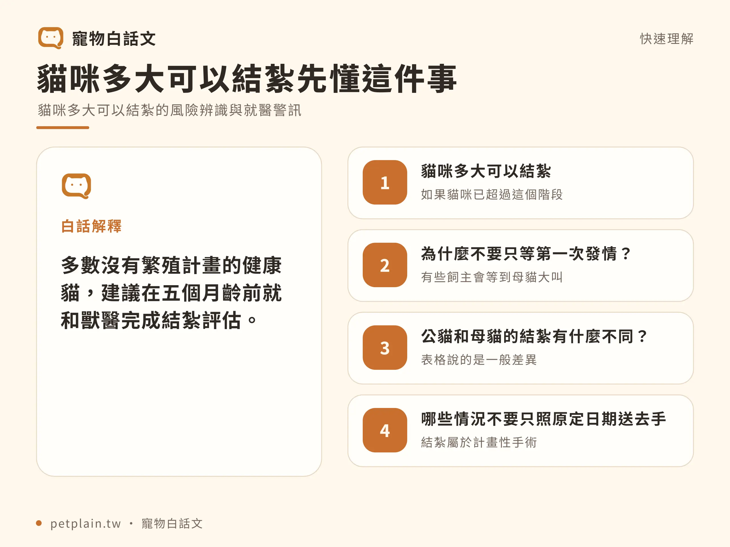 貓咪多大可以結紮？公母時機與術前準備：快速判斷