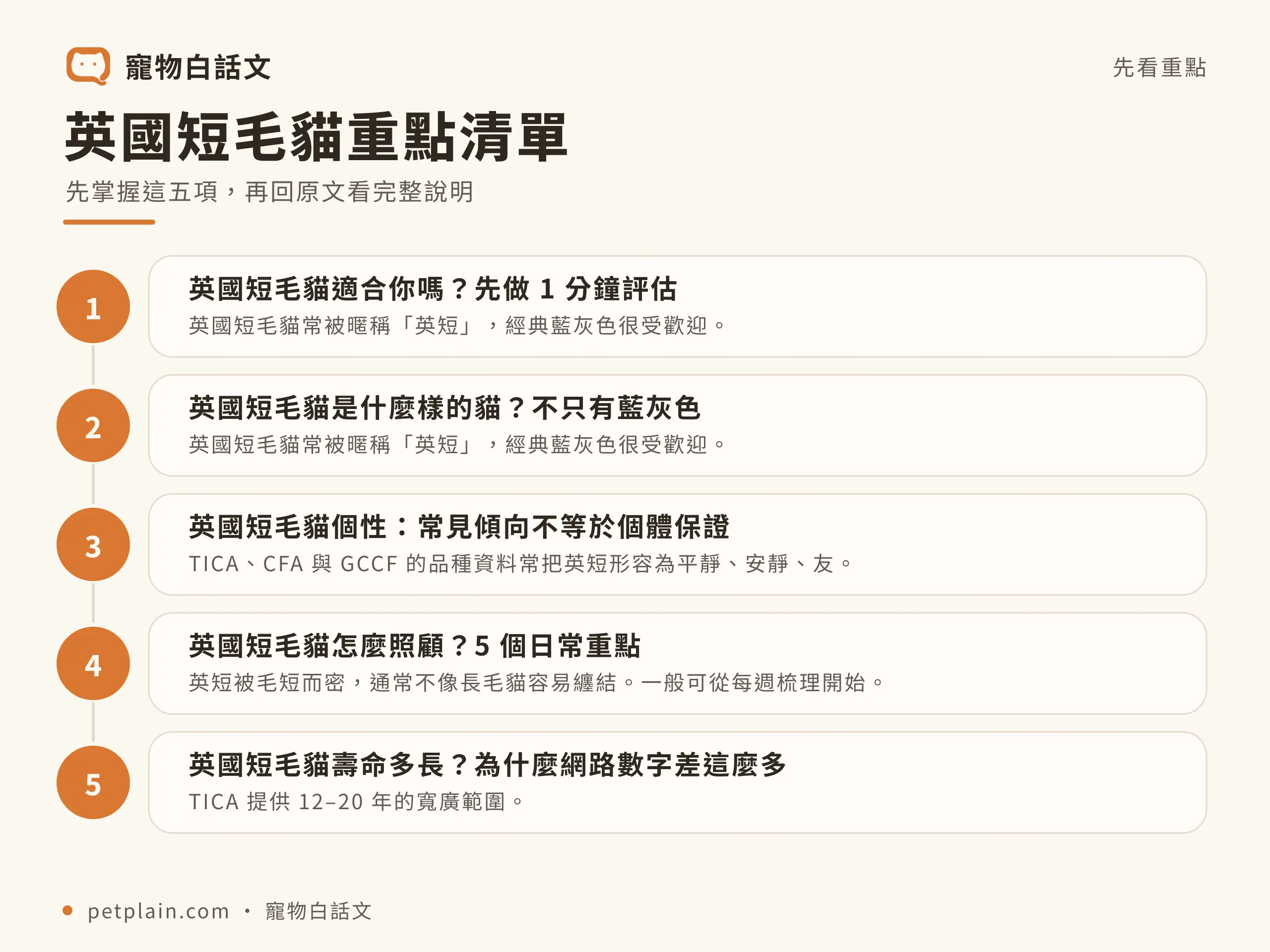 英國短毛貓重點清單資訊圖，對應〈英國短毛貓好養嗎？個性、壽命、常見疾病與飼養費用〉
