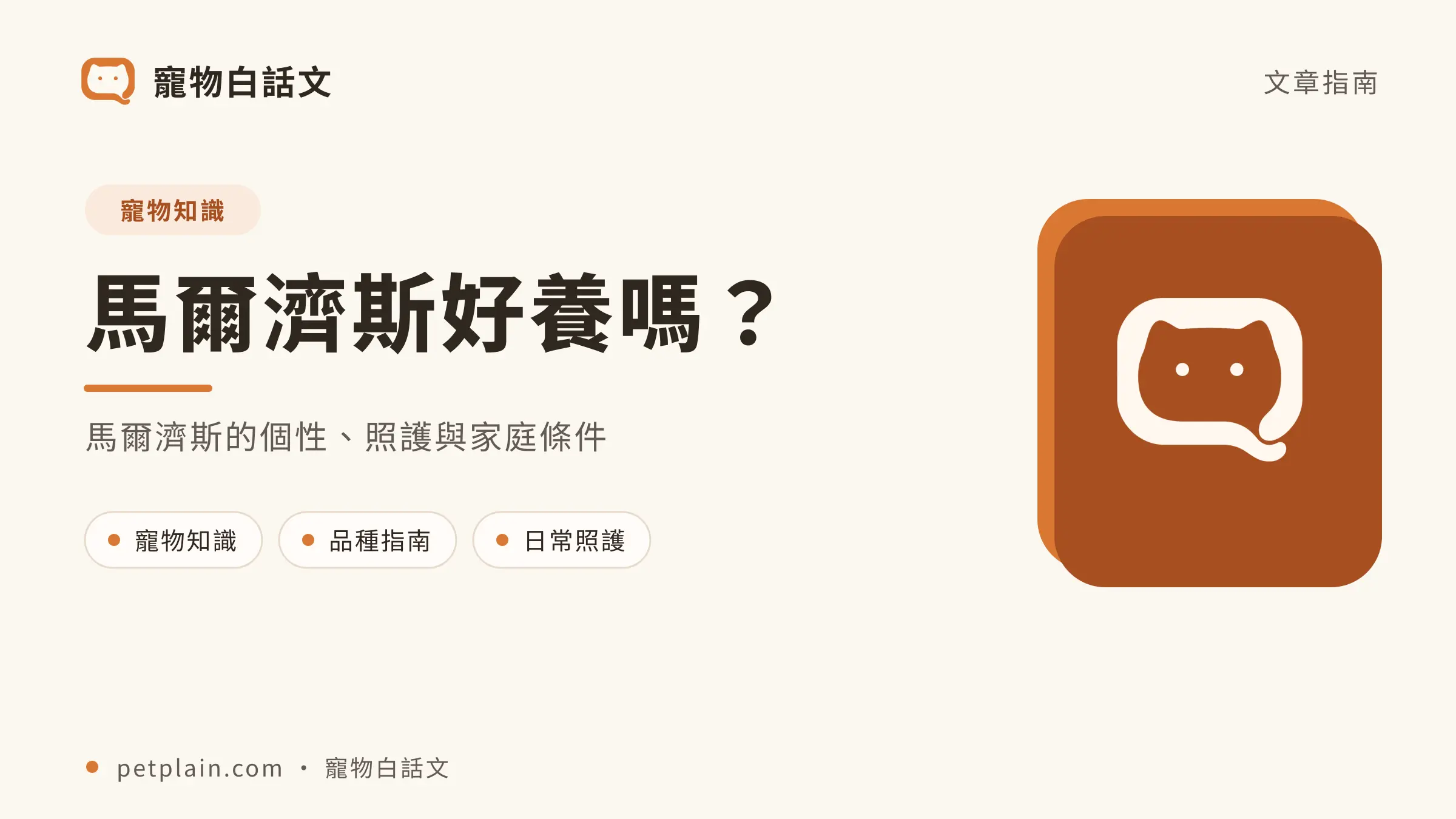 馬爾濟斯文章封面,對應〈馬爾濟斯好養嗎?個性、壽命、常見疾病與飼養費用〉