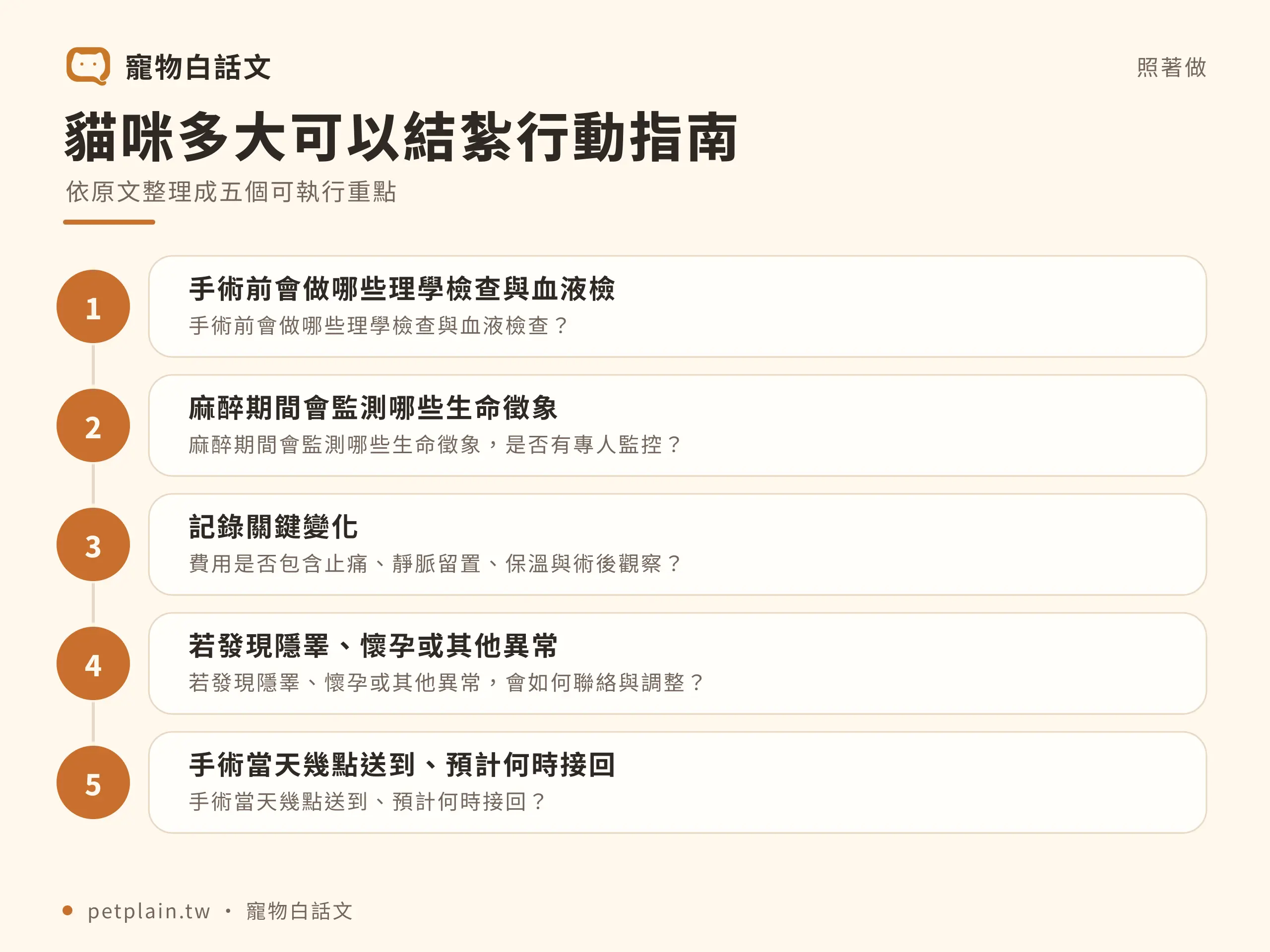 貓咪多大可以結紮？公母時機與術前準備：實際步驟
