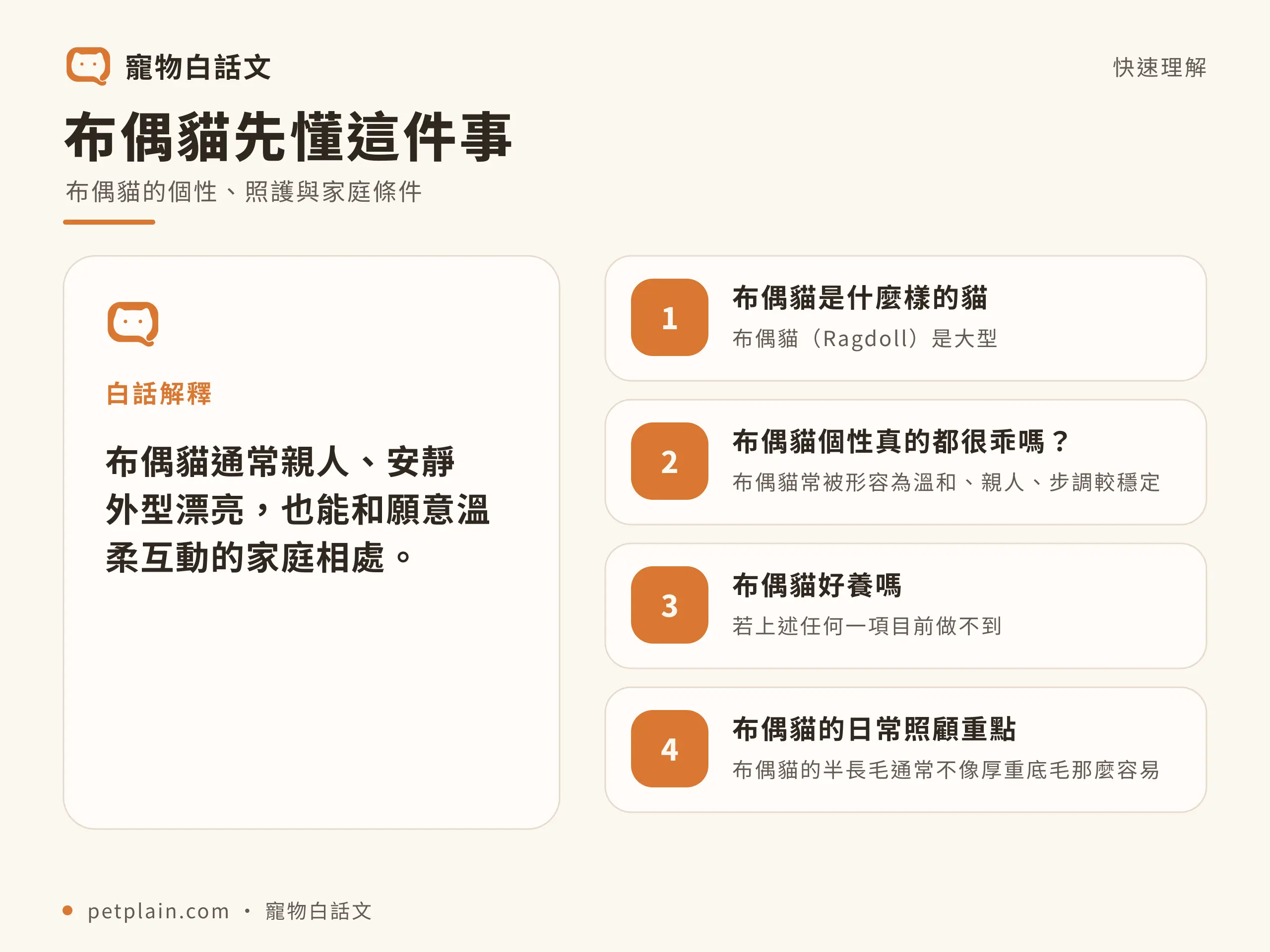 布偶貓核心概念資訊圖,對應〈布偶貓好養嗎?個性、壽命、常見疾病與飼養費用〉