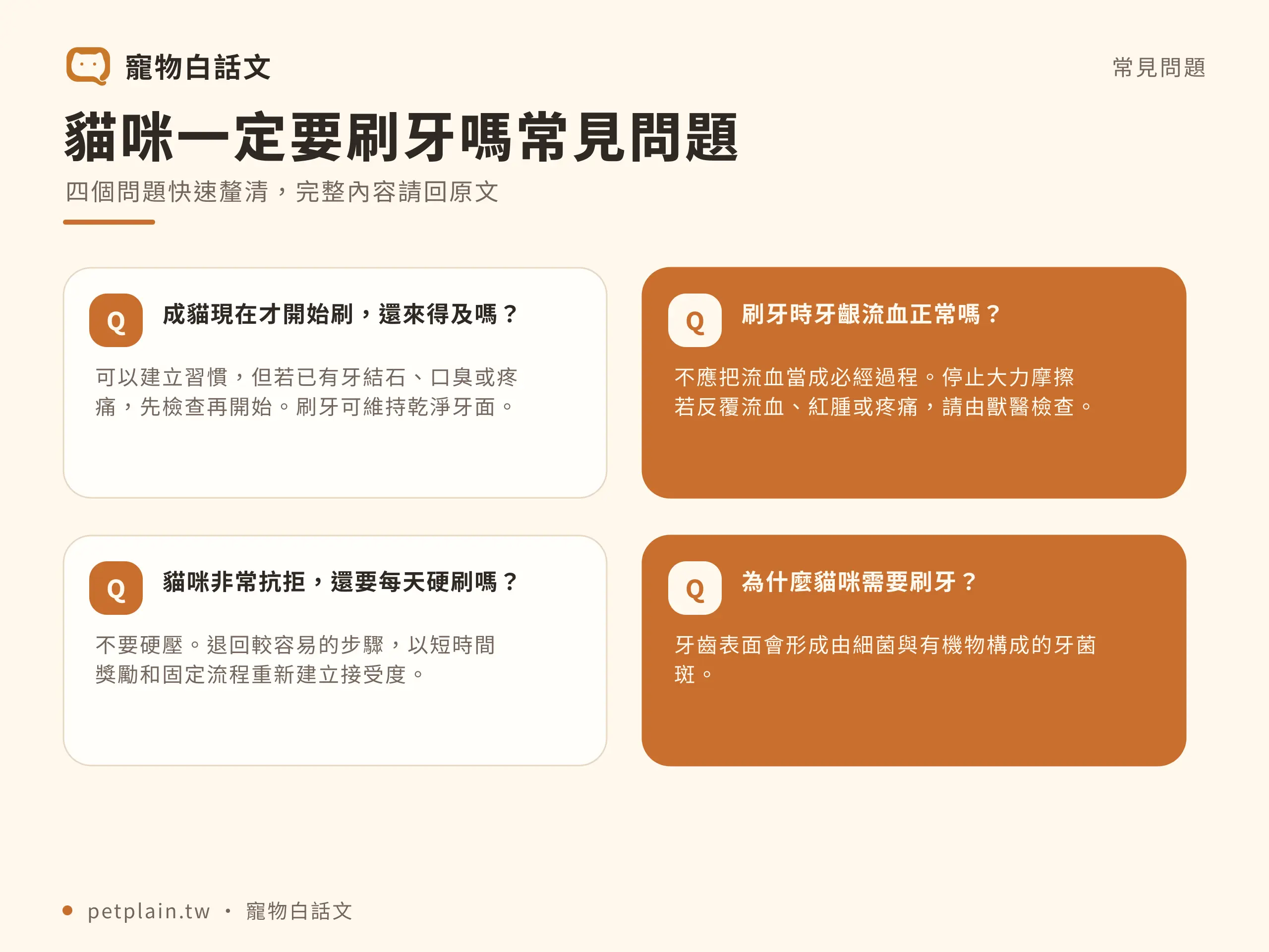 貓咪一定要刷牙嗎？從頻率到工具一次看懂：常見問題