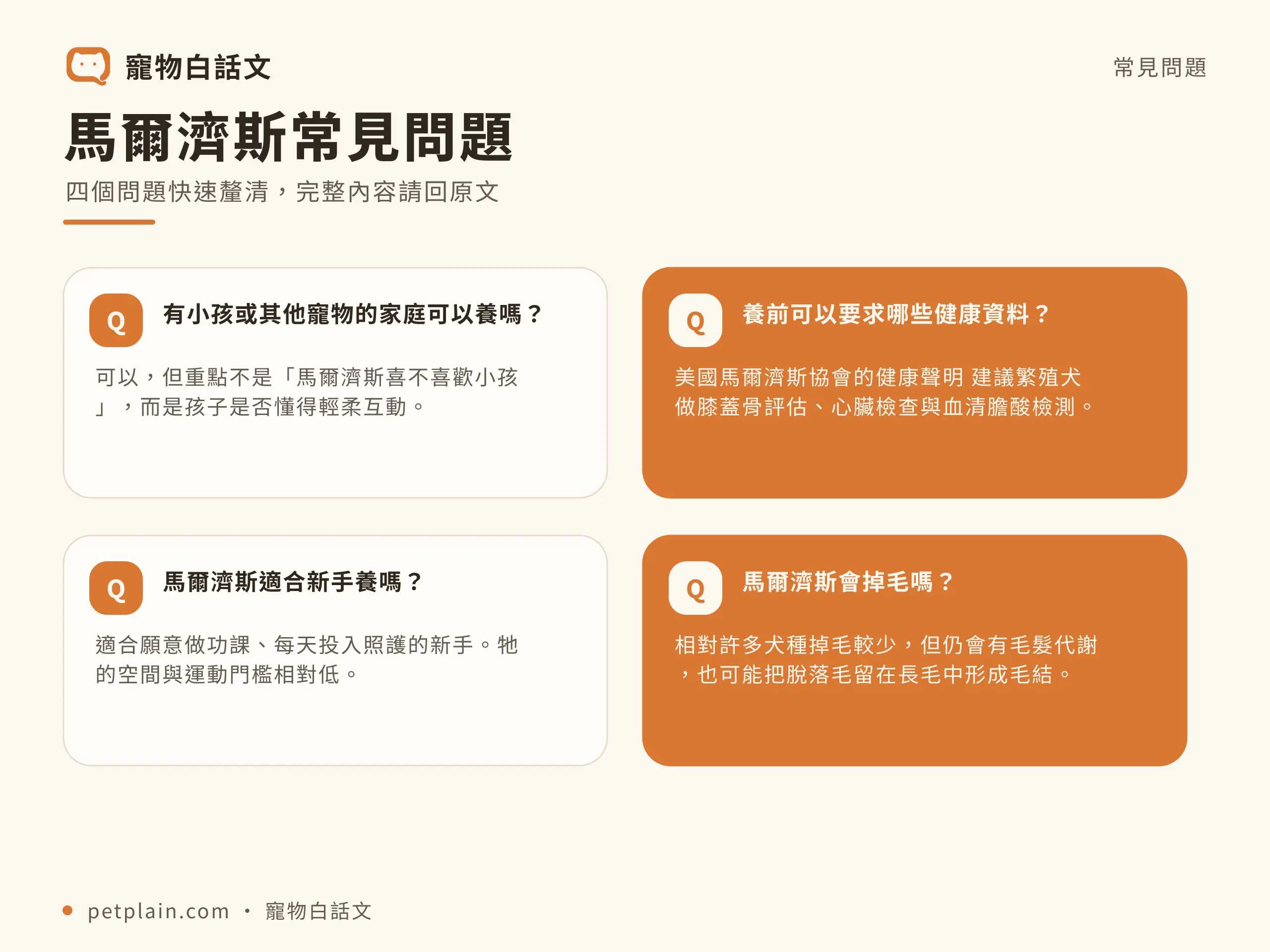 馬爾濟斯常見問題資訊圖，對應〈馬爾濟斯好養嗎？個性、壽命、常見疾病與飼養費用〉