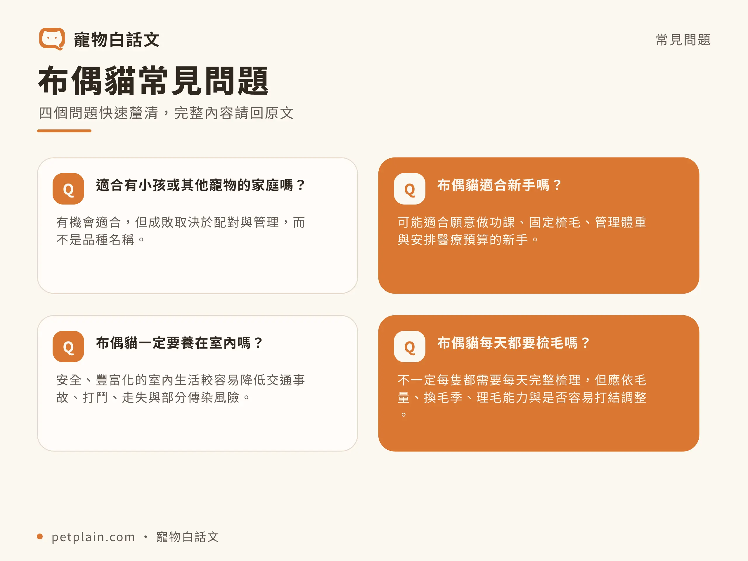 布偶貓常見問題資訊圖,對應〈布偶貓好養嗎?個性、壽命、常見疾病與飼養費用〉