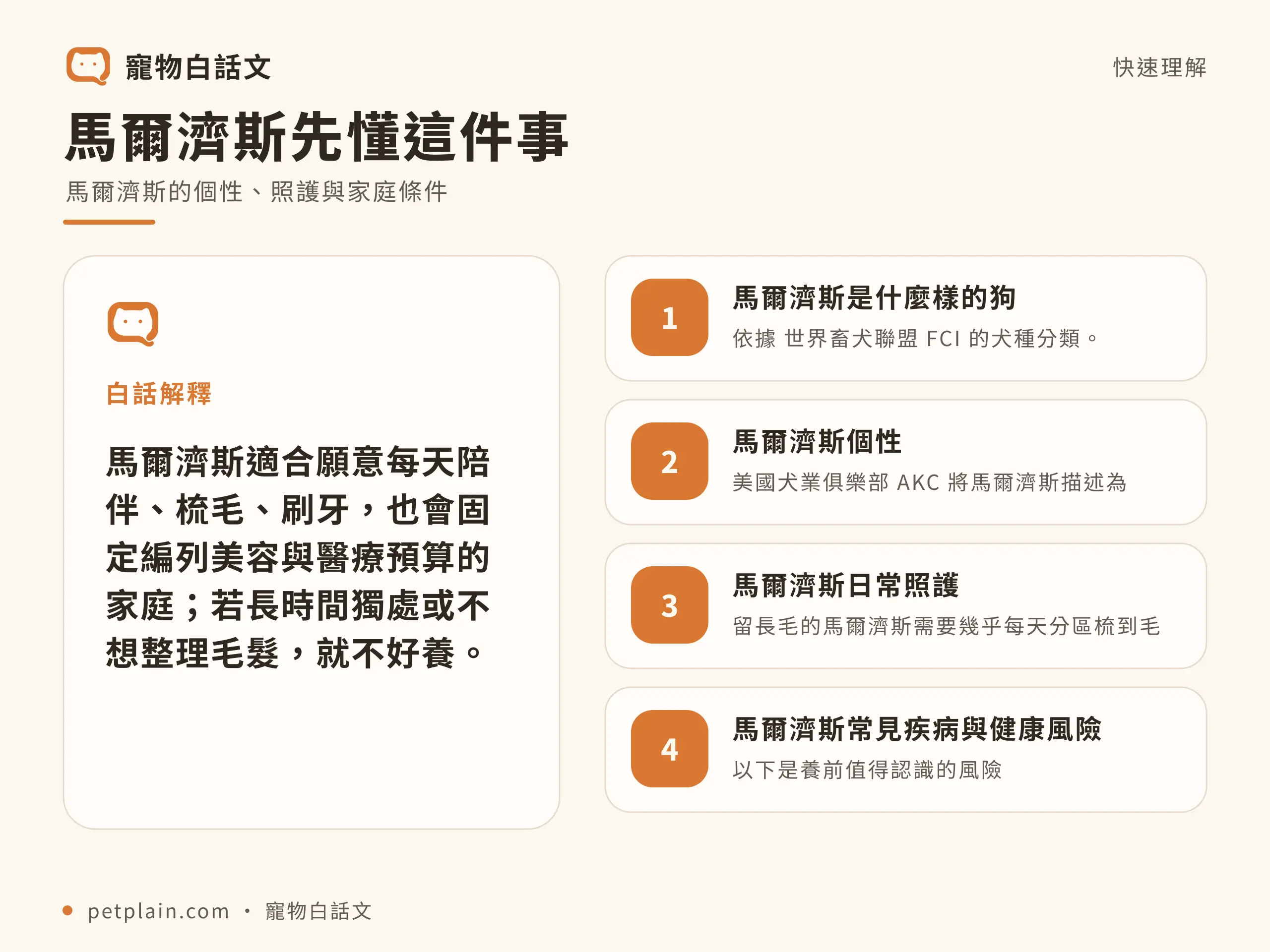 馬爾濟斯核心概念資訊圖，對應〈馬爾濟斯好養嗎？個性、壽命、常見疾病與飼養費用〉