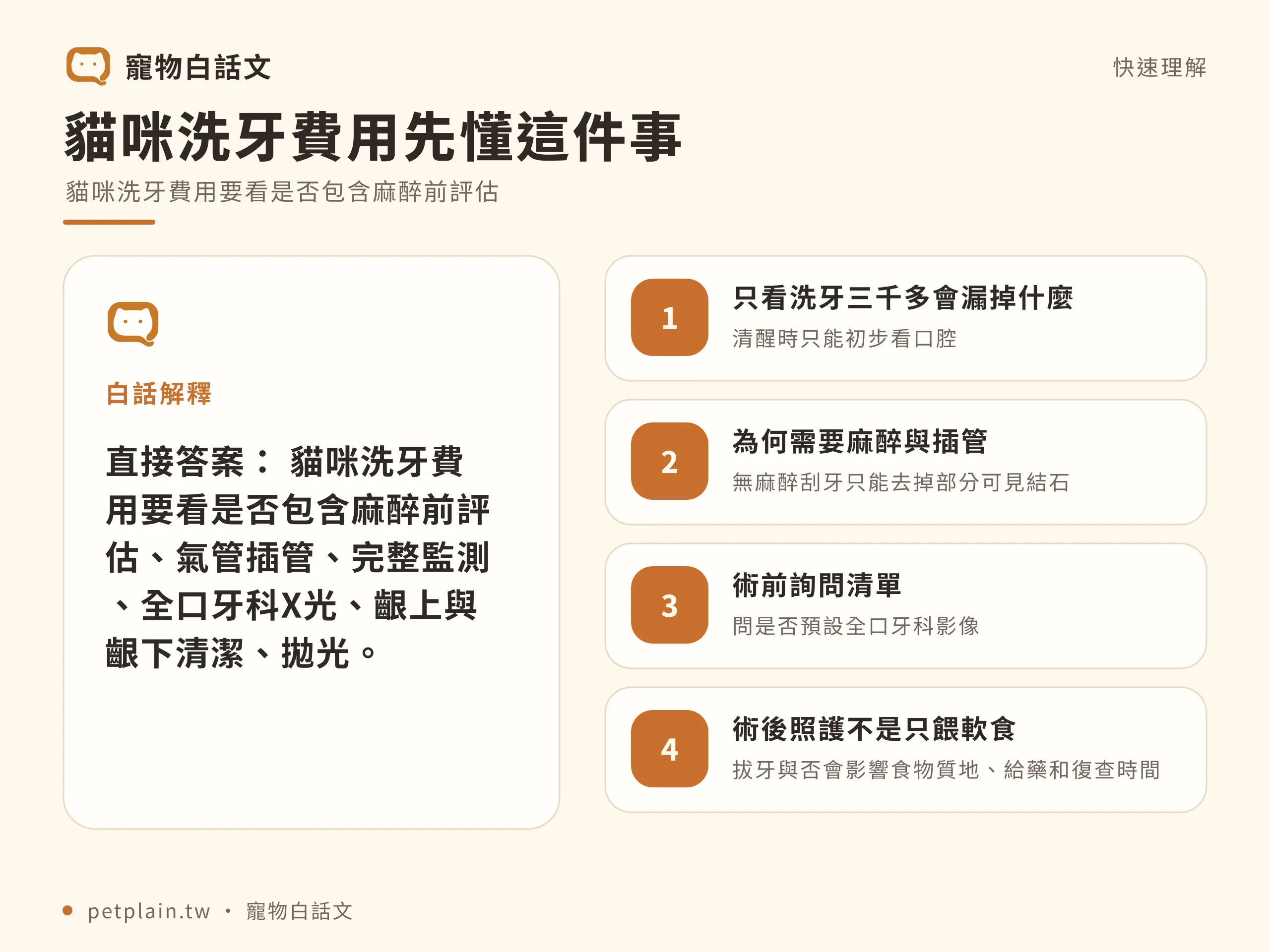 貓咪洗牙費用多少？麻醉、檢查與拔牙項目：快速判斷