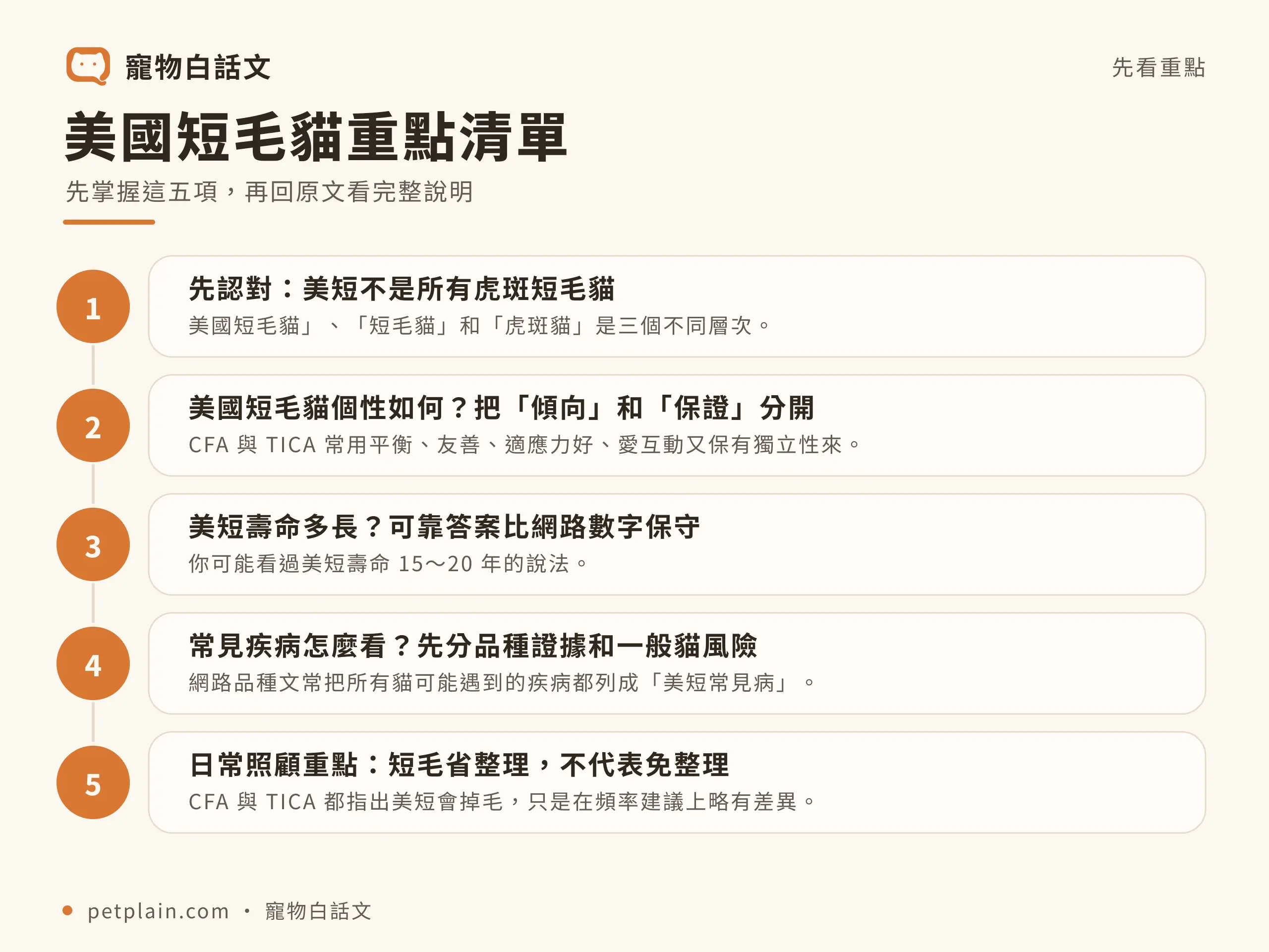 美國短毛貓重點清單資訊圖，對應〈美國短毛貓好養嗎？個性、壽命、常見疾病與飼養費用〉