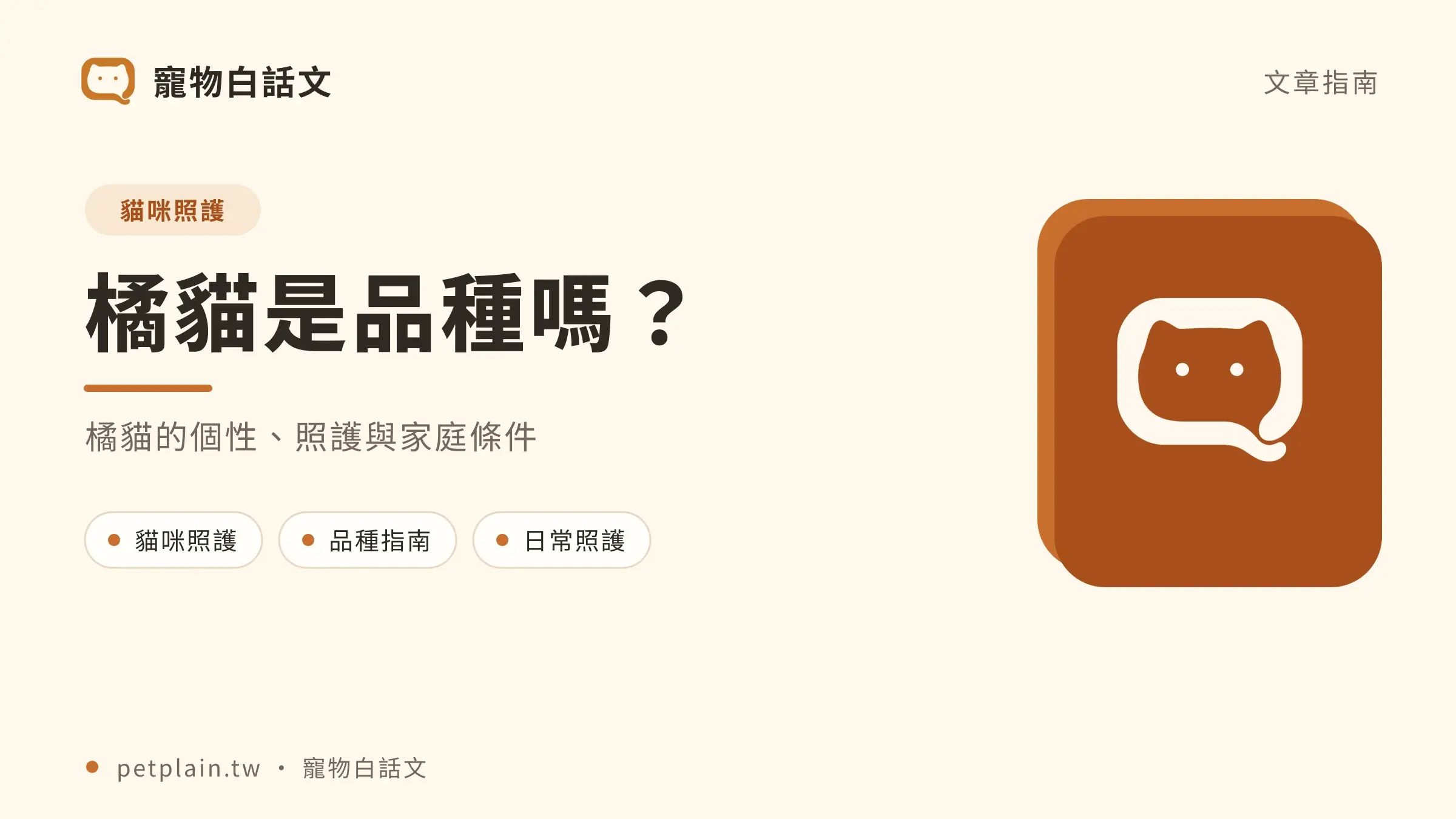 橘貓是品種嗎？毛色、個性與健康迷思｜文章首圖