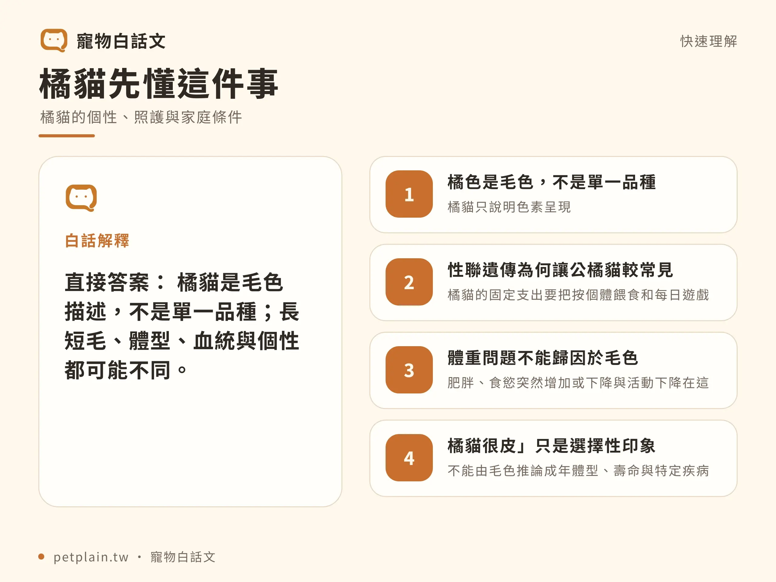 橘貓毛色與品種的差別,以及體型和個性不能只由毛色判斷