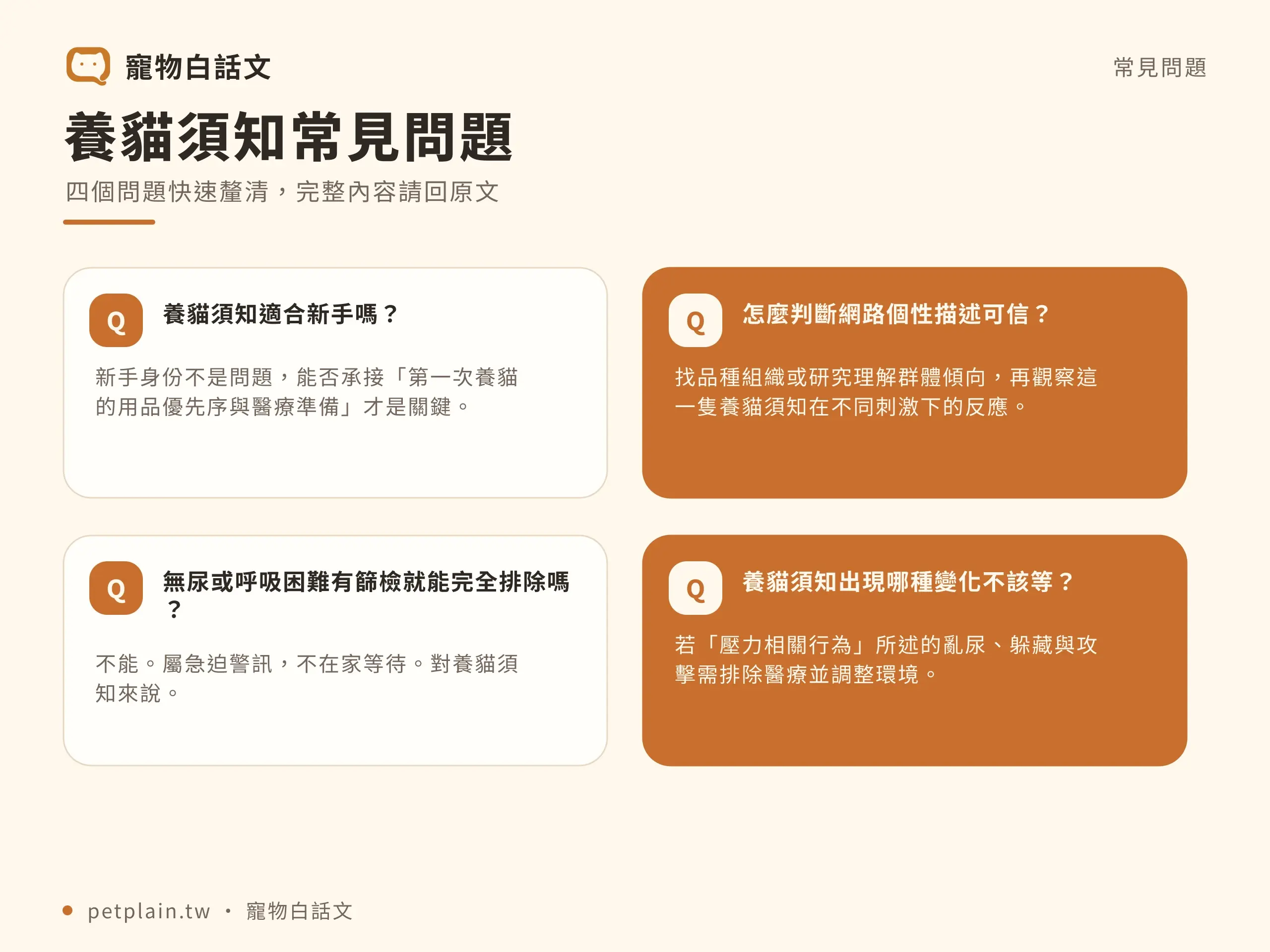 第一次養貓常見問題:新手準備、就醫評估及生活變化