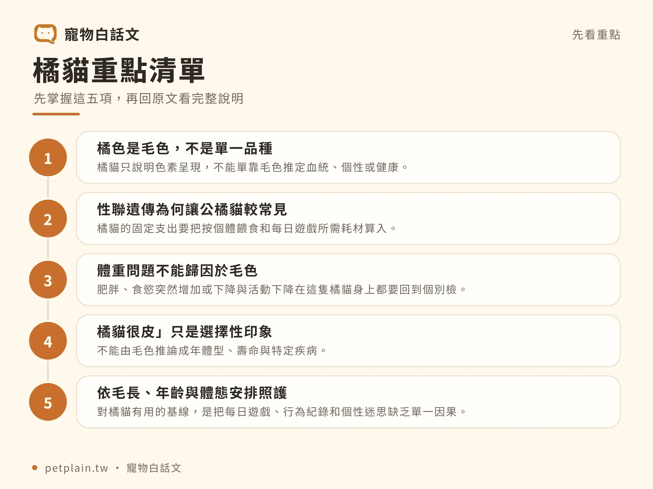 橘貓照護清單:辨認毛色、觀察體態,避免以花色推定個性