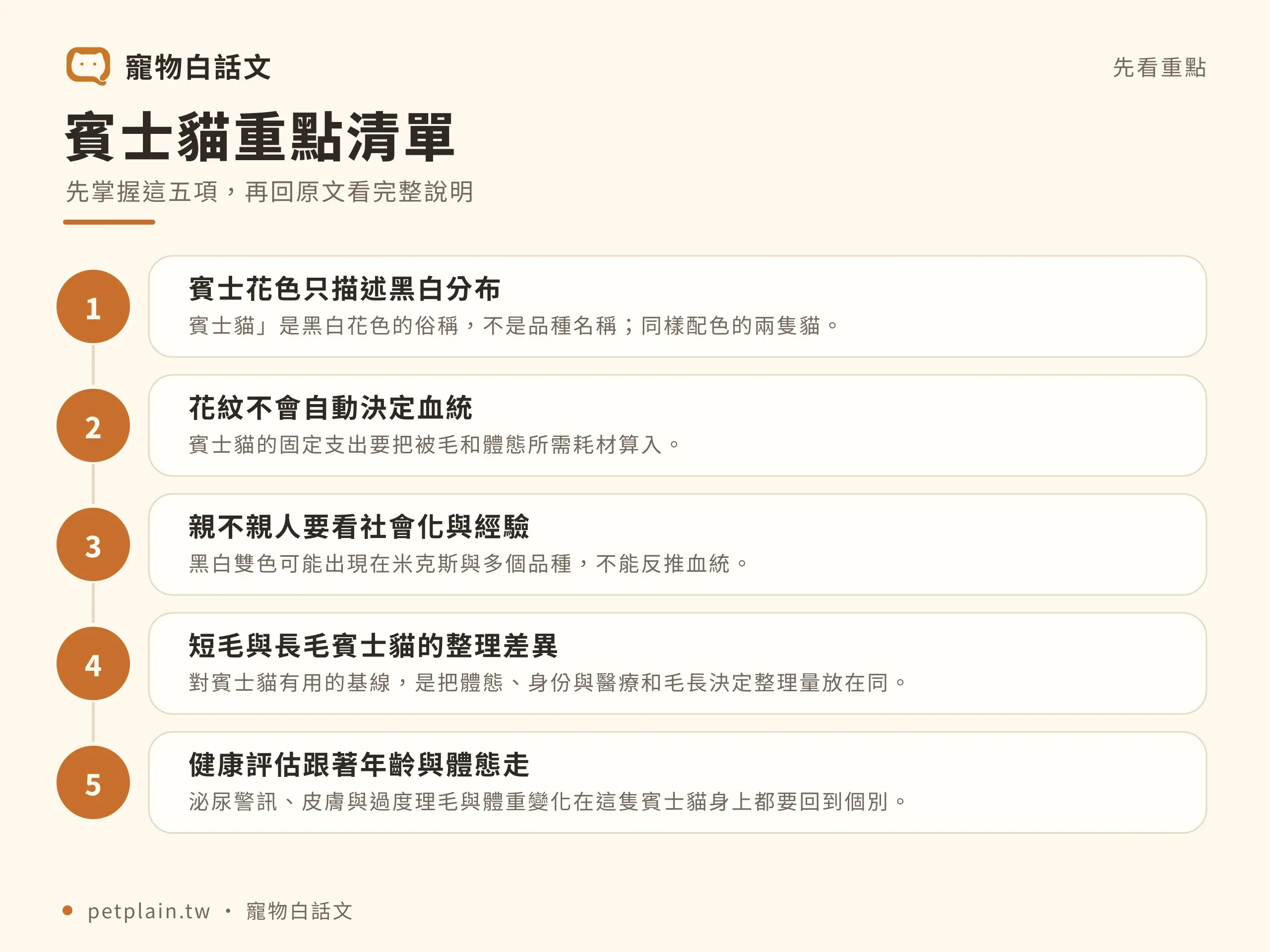 黑白貓照護重點:觀察社交經驗、毛長差異及日常健康變化