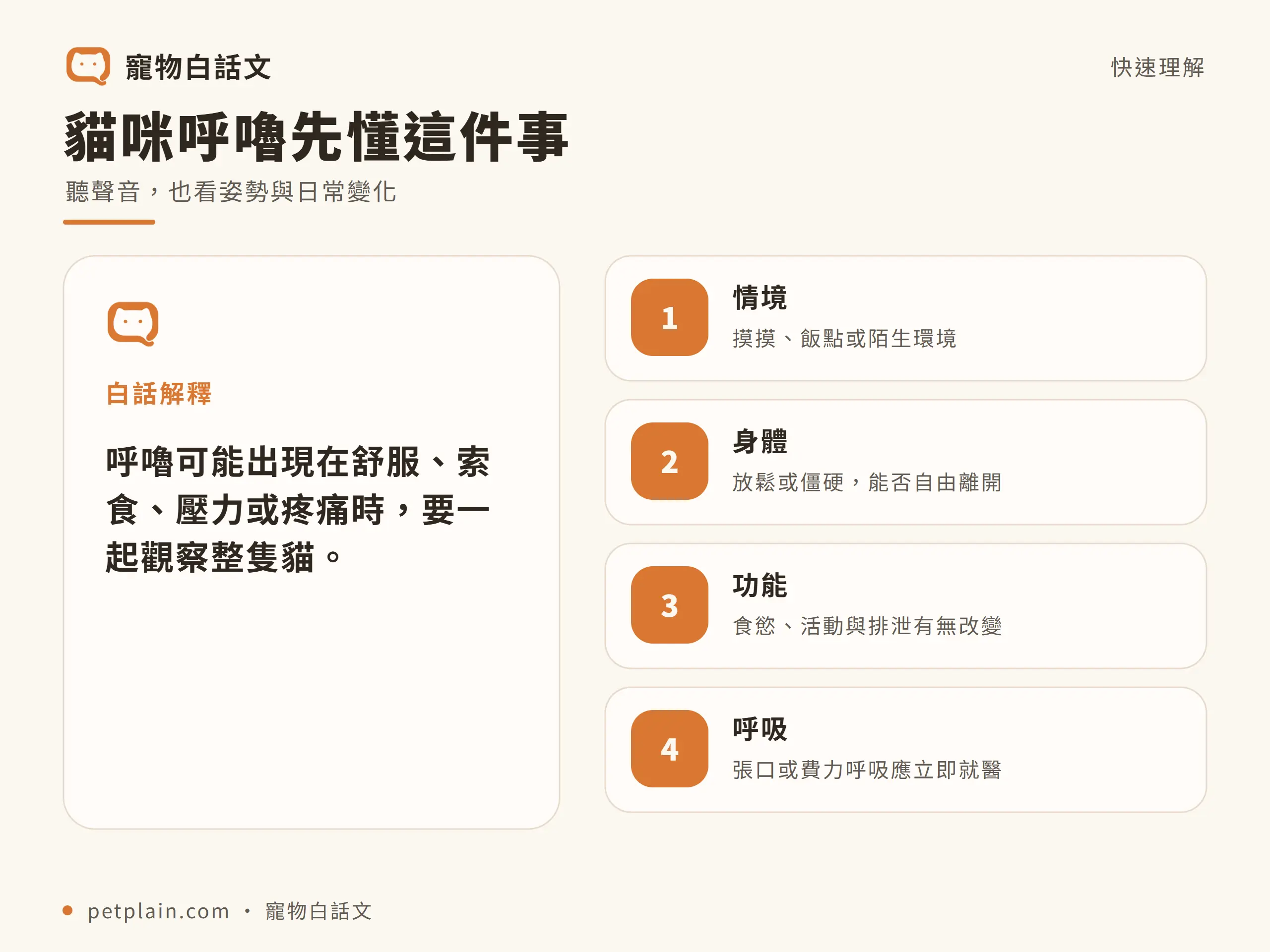 貓咪呼嚕｜觀念整理：貓咪呼嚕先懂這件事；聽聲音，也看姿勢與日常變化；白話解釋