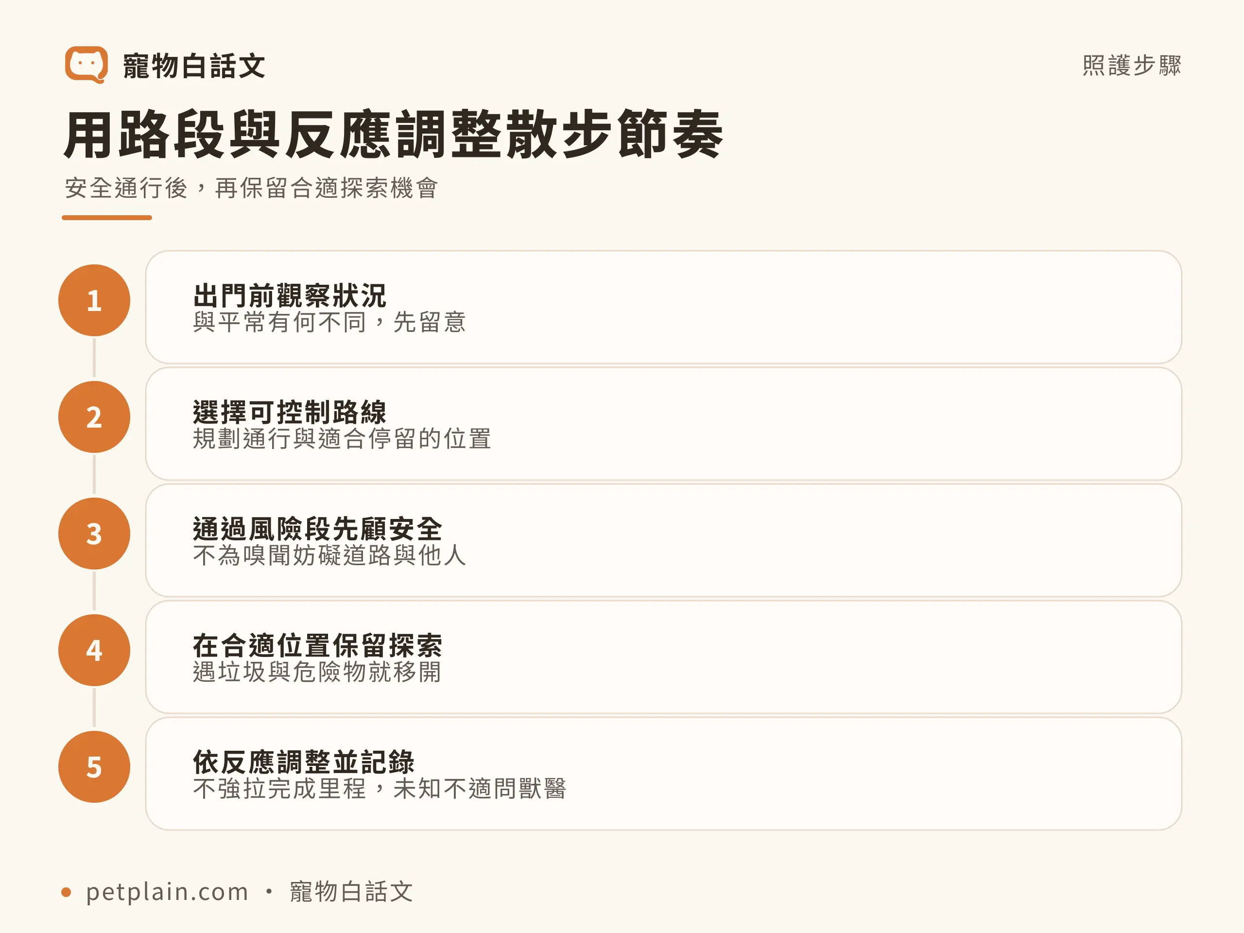 用路段與反應調整散步節奏