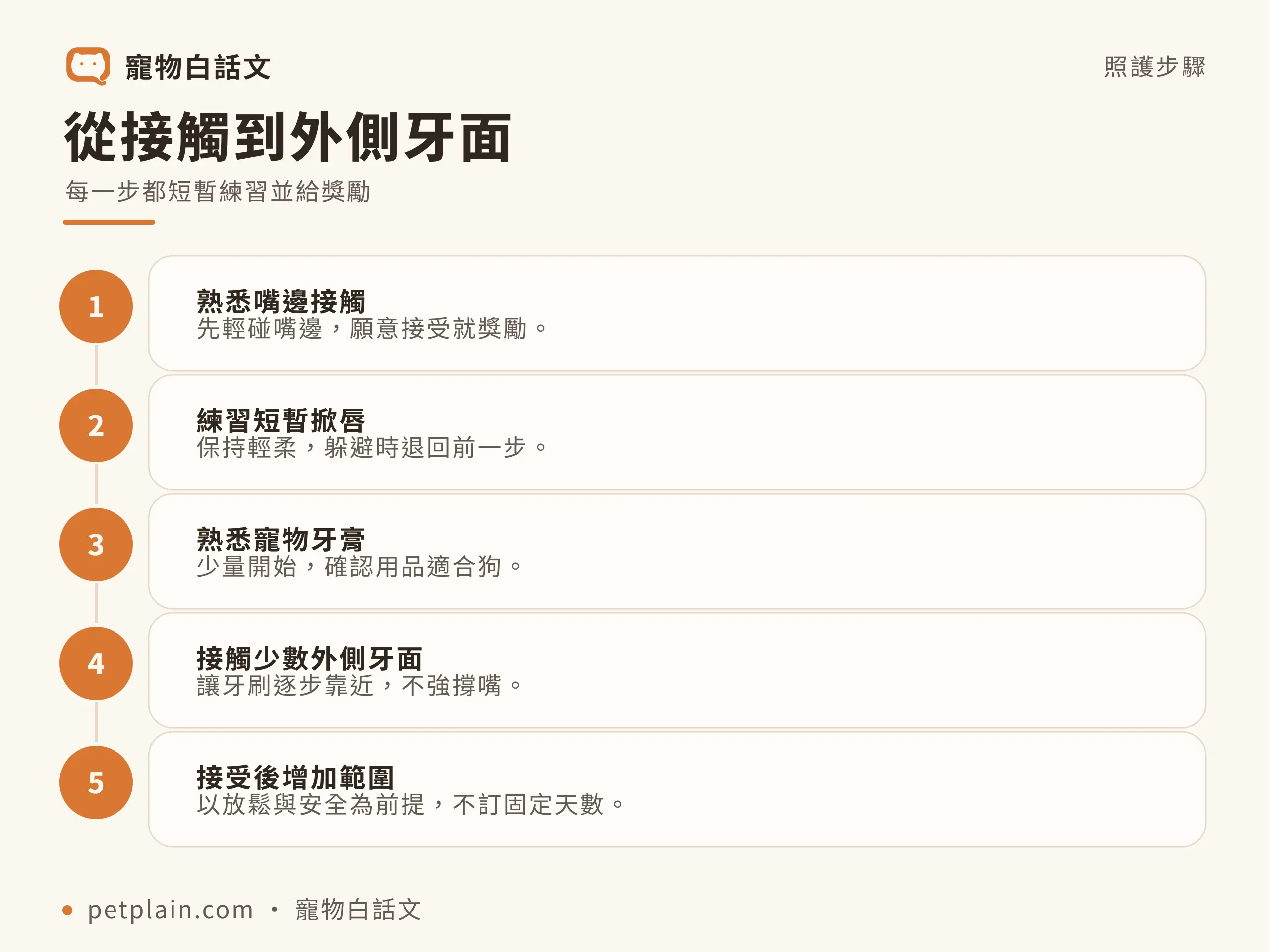 從接觸到外側牙面：每一步都短暫練習並給獎勵