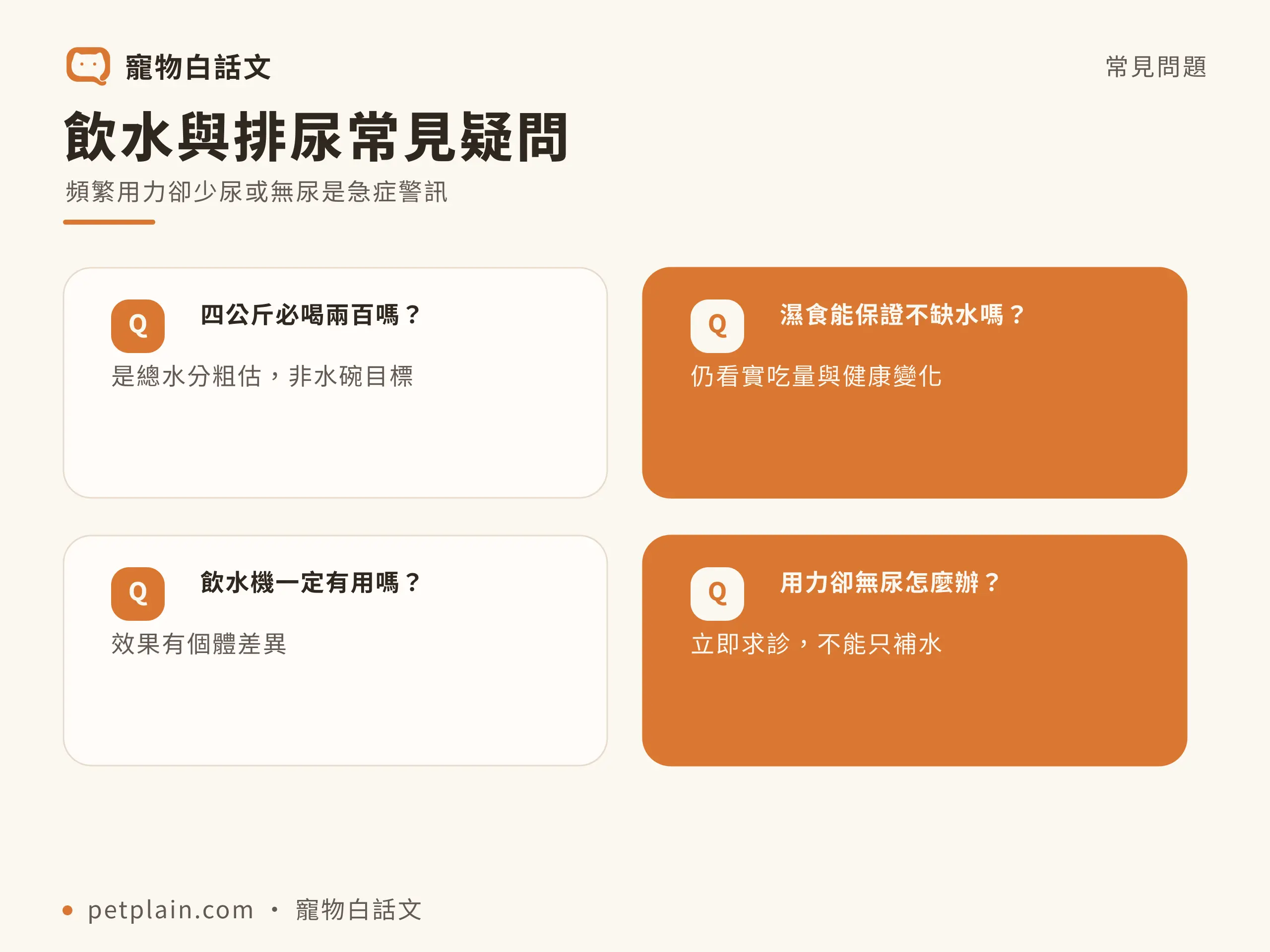 貓咪喝水量:飲水與排尿常見疑問,頻繁用力卻少尿或無尿是急症警訊