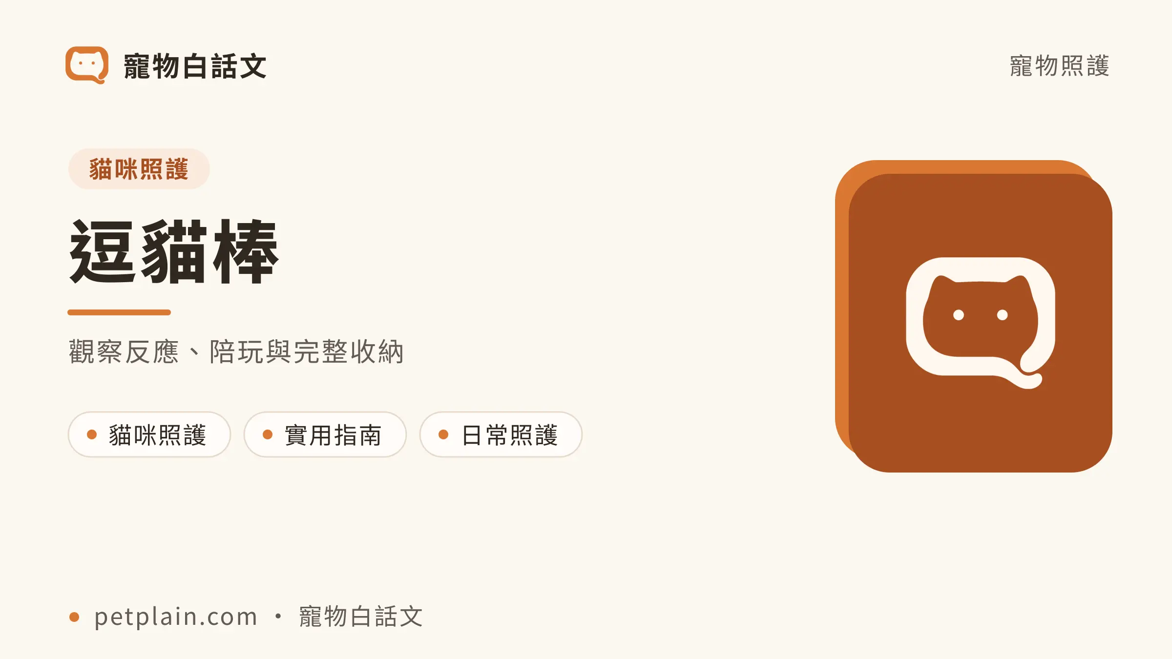 觀察反應、陪玩與完整收納